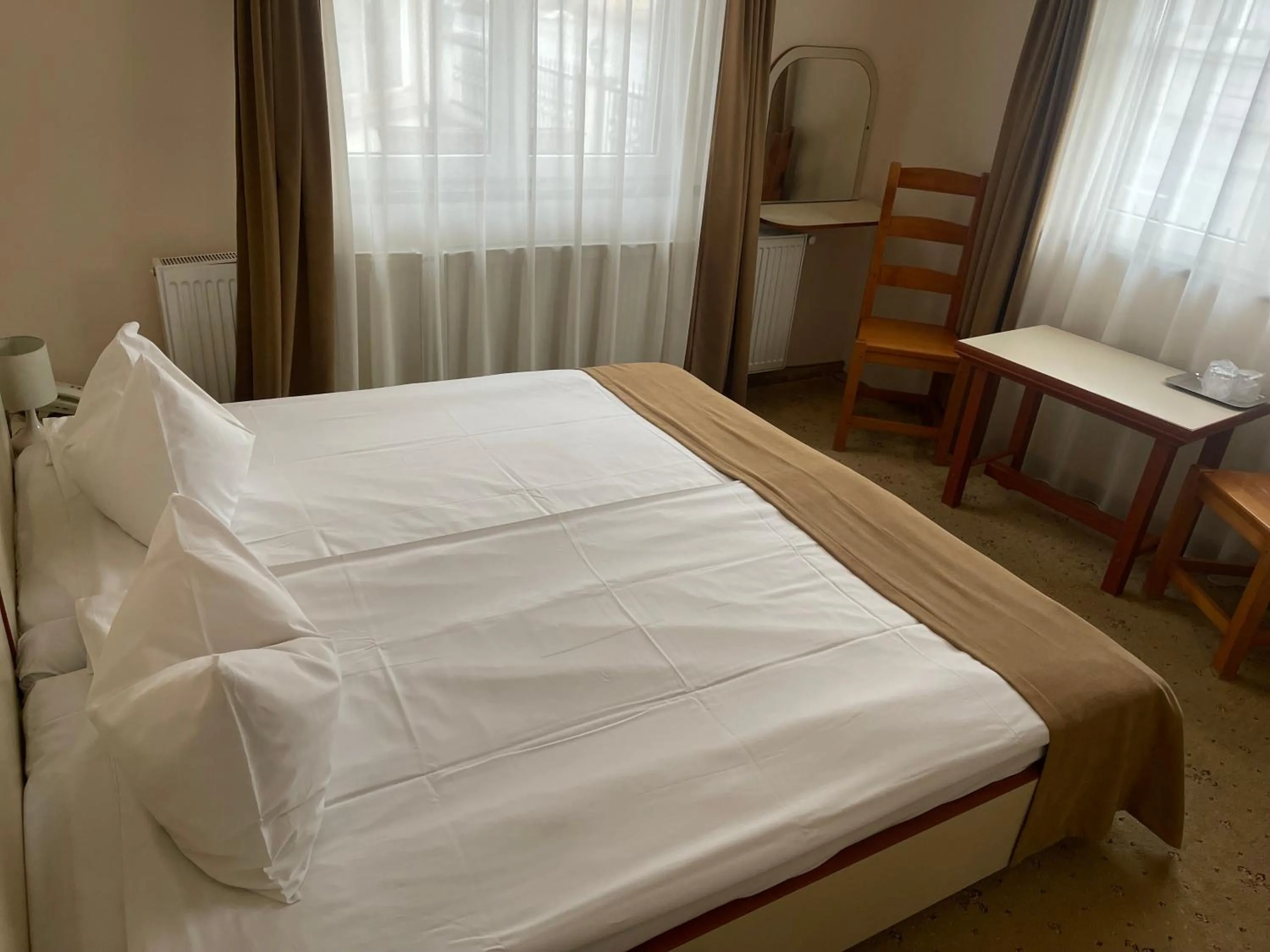 Bed in Pensiunea Luiza