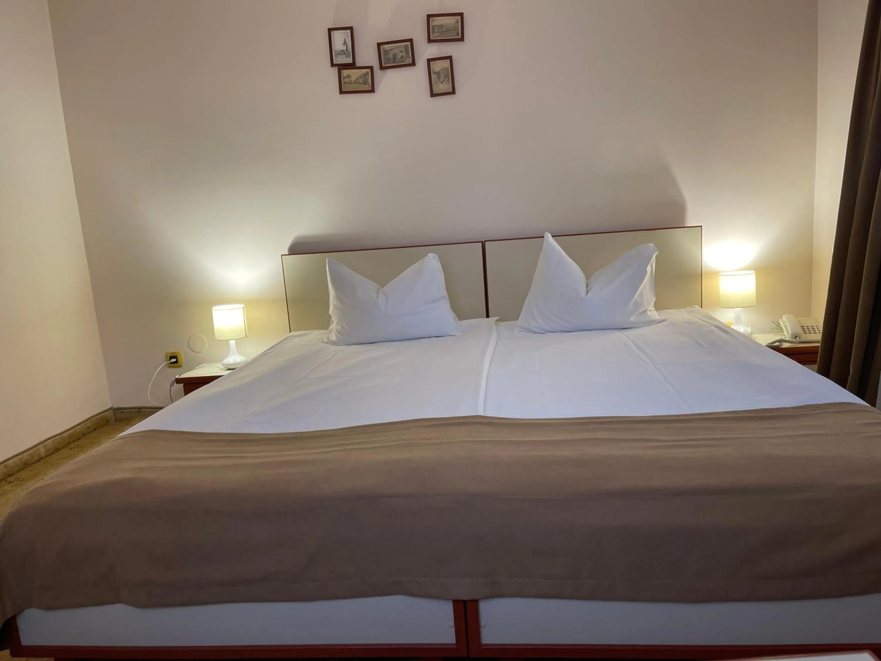 Bed in Pensiunea Luiza