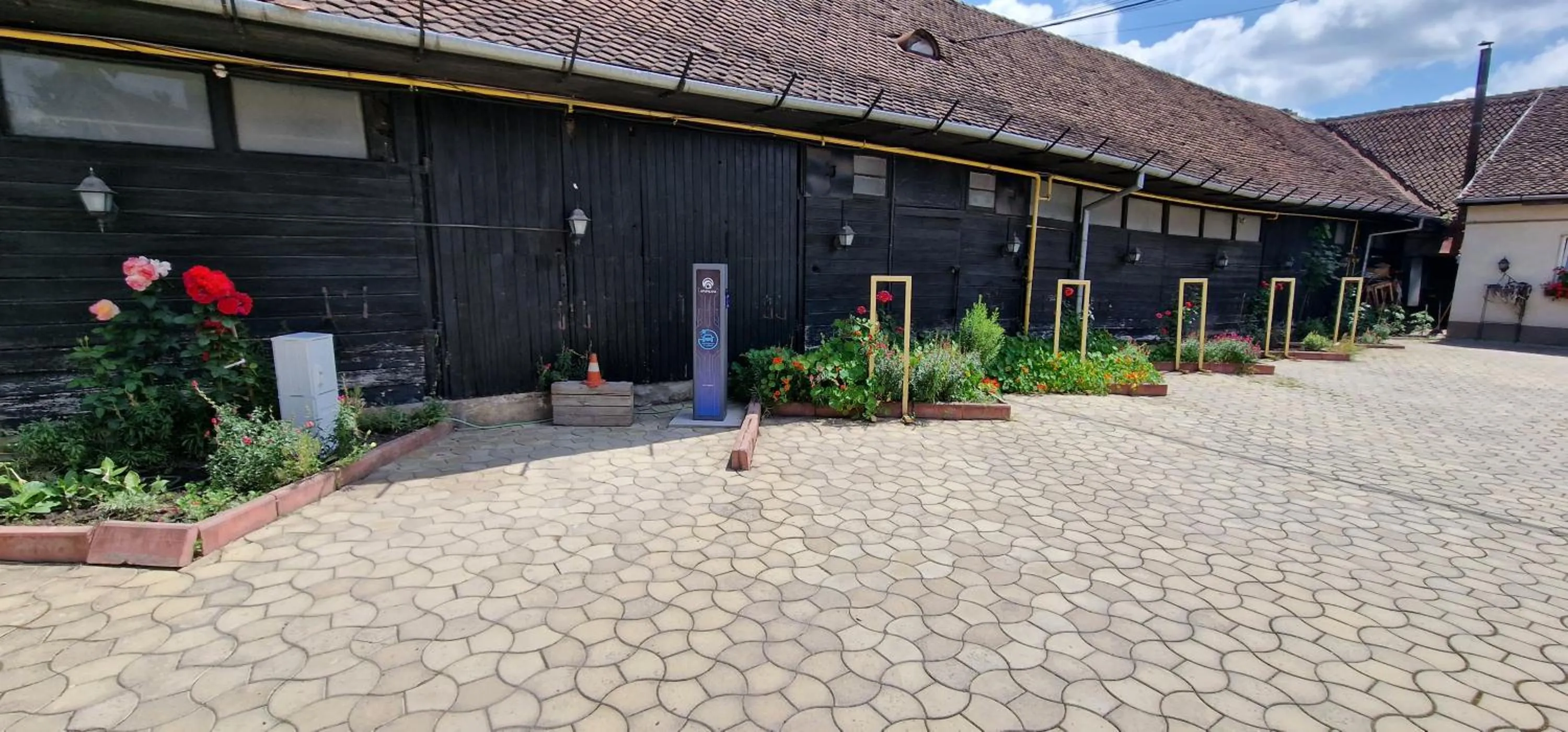 Garden in Pensiunea Luiza