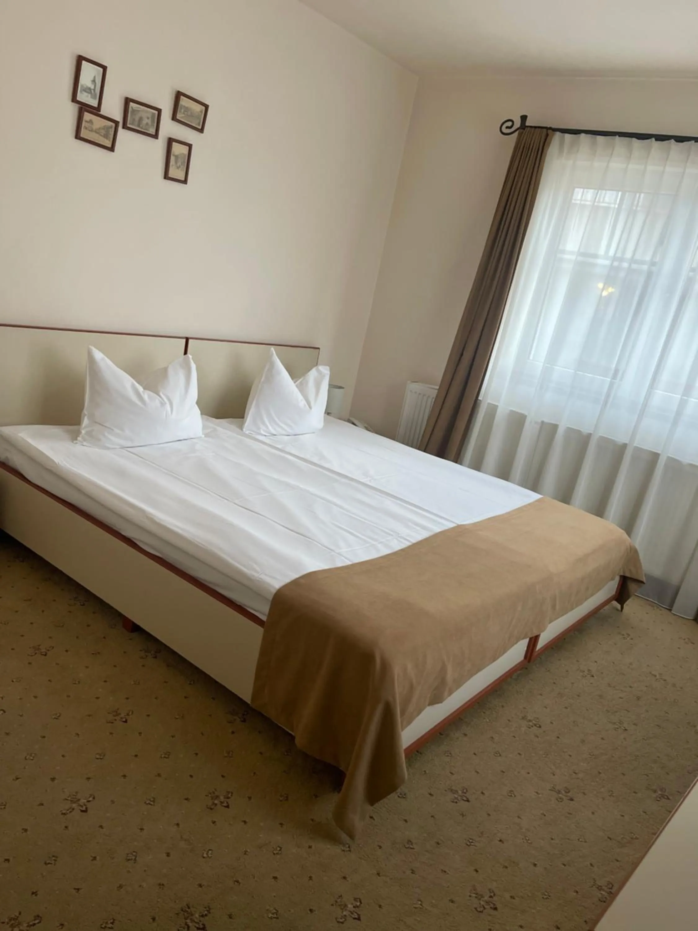 Bed in Pensiunea Luiza