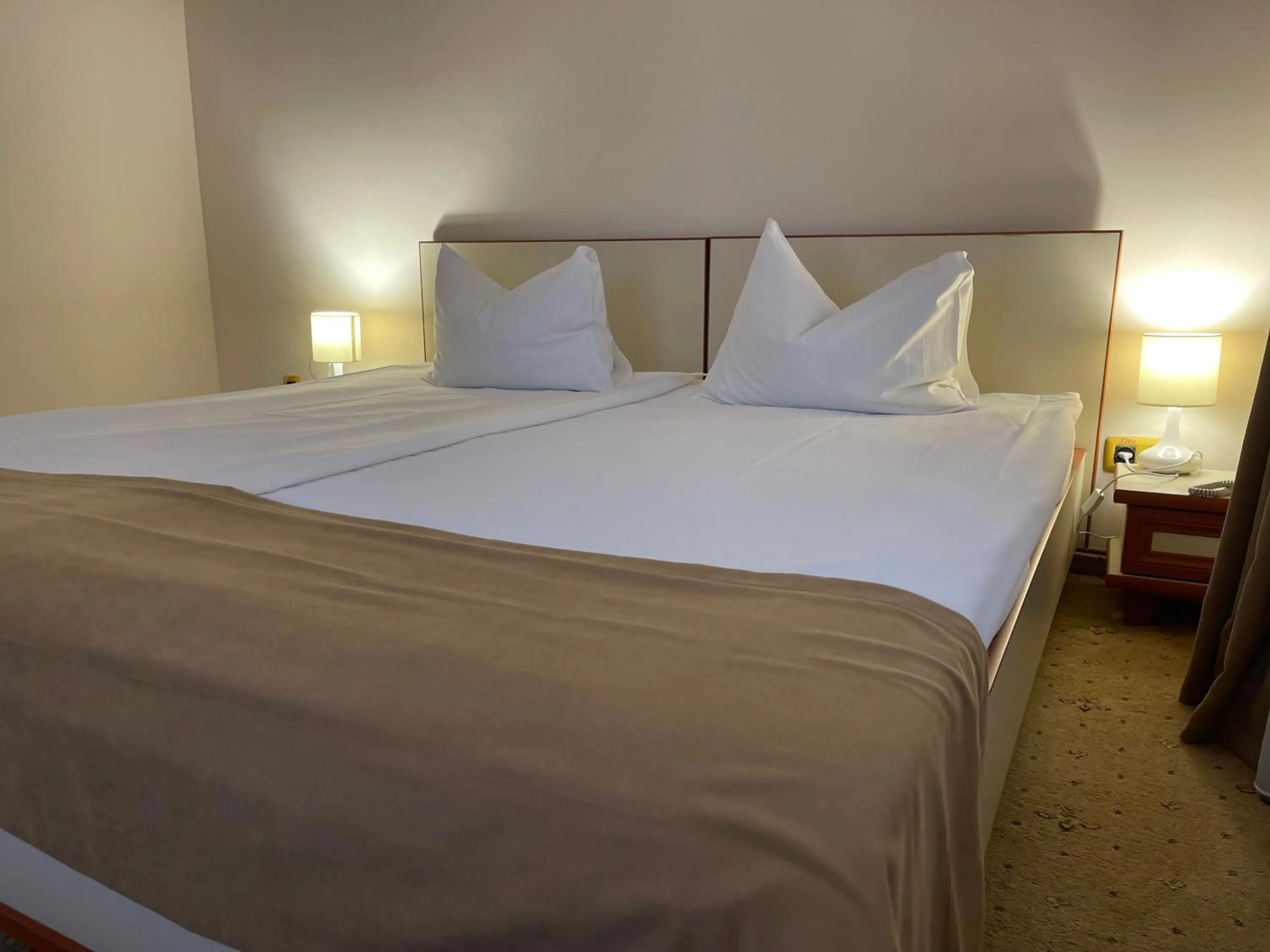 Bed in Pensiunea Luiza