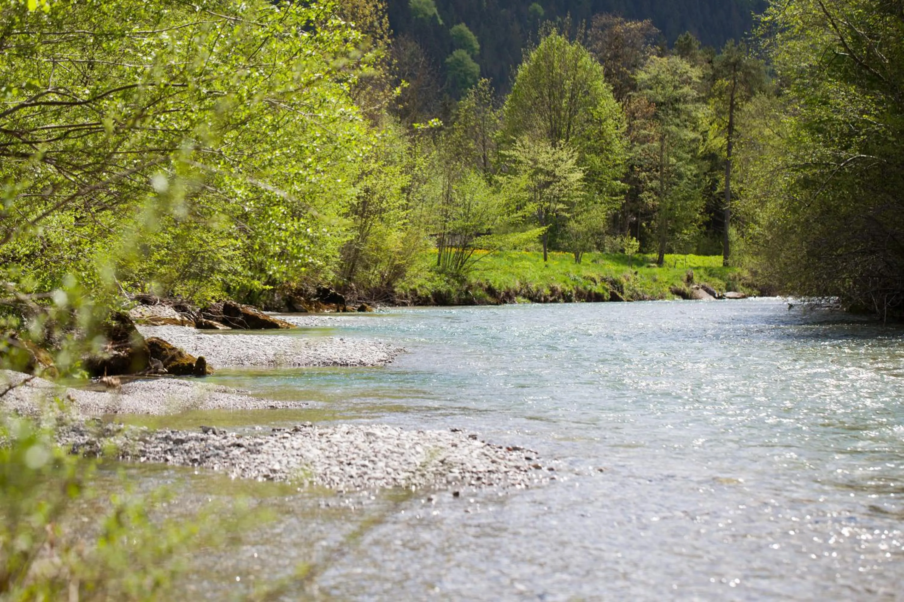 Hotel Bachmair Alpina