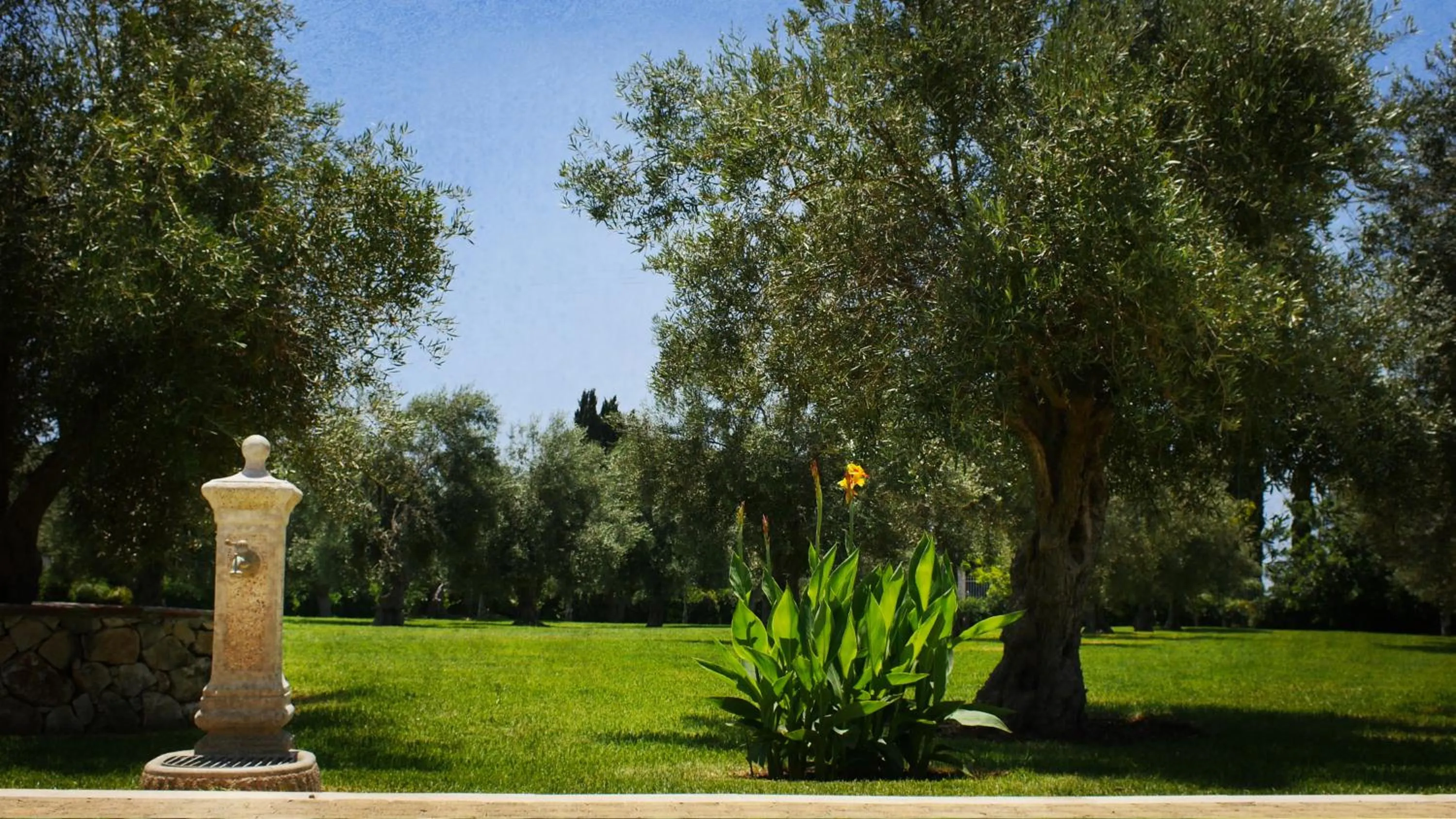 Natural landscape in Hotel Villa Fanusa