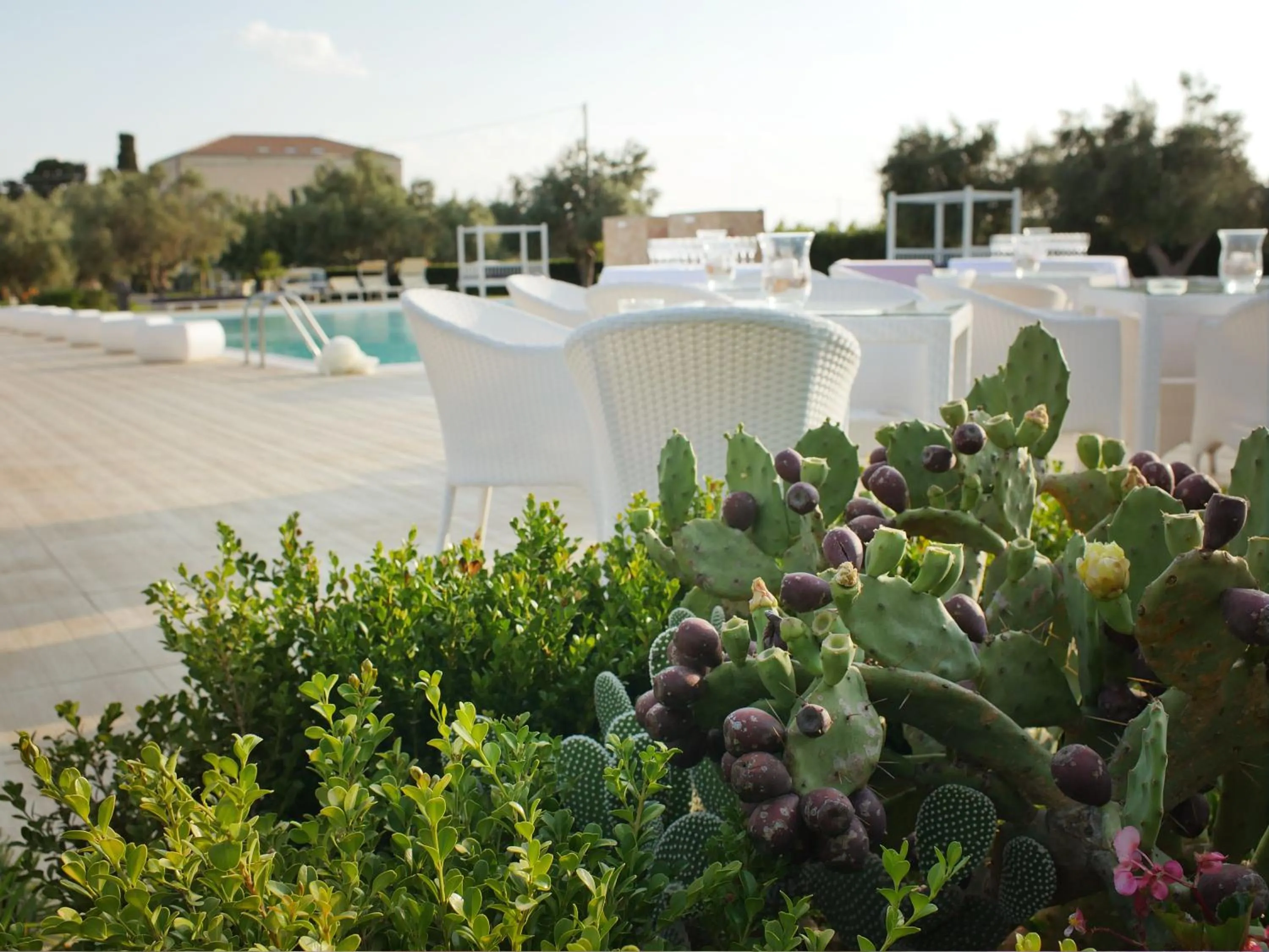 Patio in Hotel Villa Fanusa