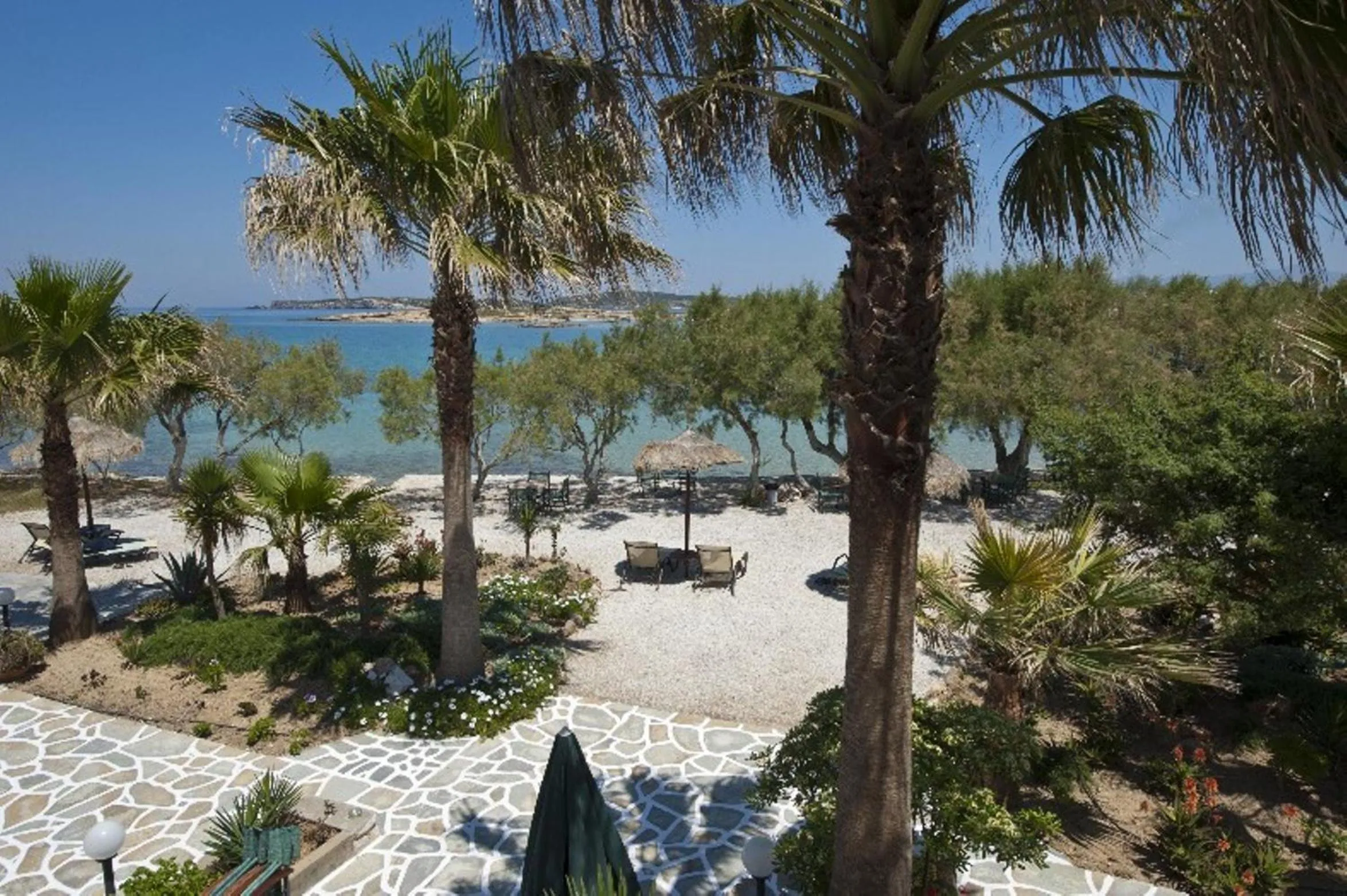 Area and facilities in Kalypso Hotel