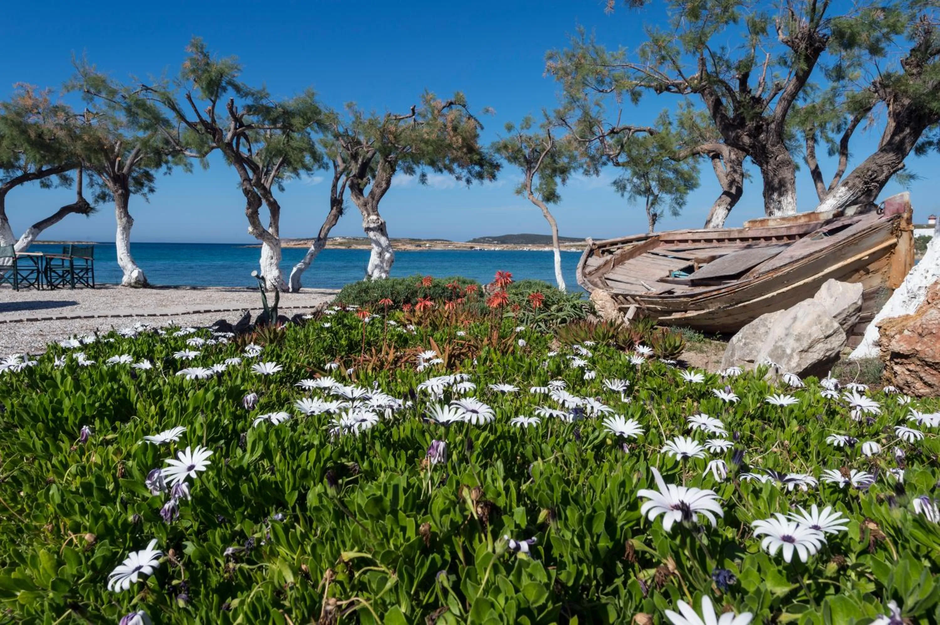 On site in Kalypso Hotel