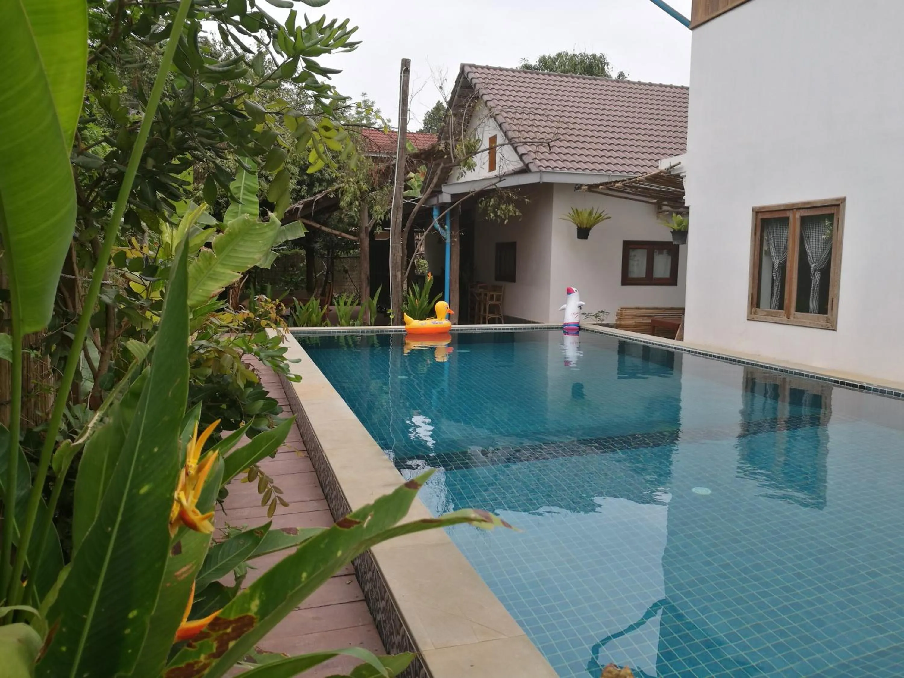 Property building in ANGKOR DINO B&B