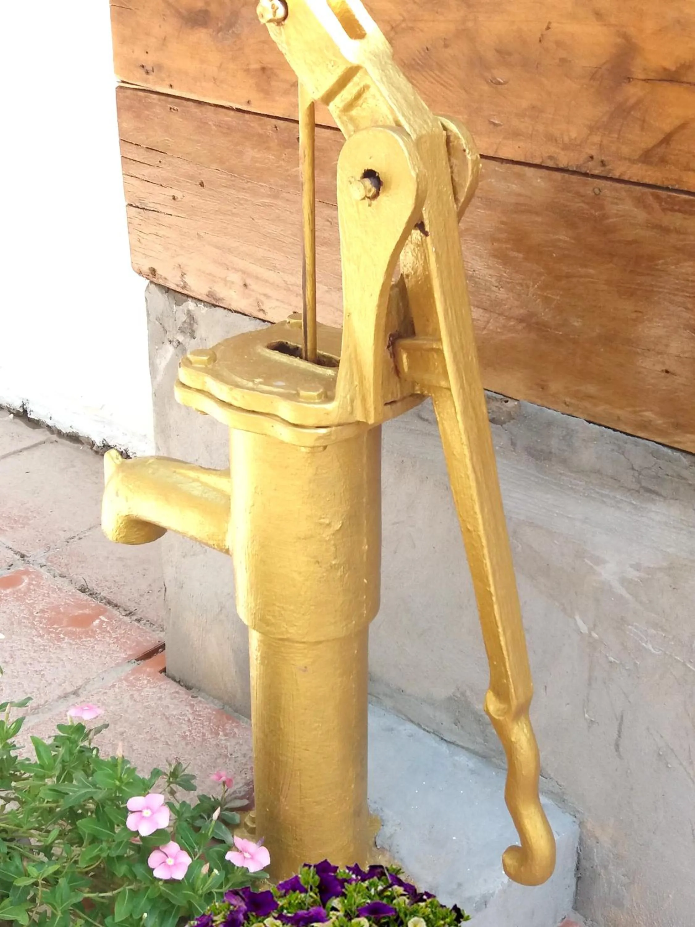 Garden in ANGKOR DINO B&B