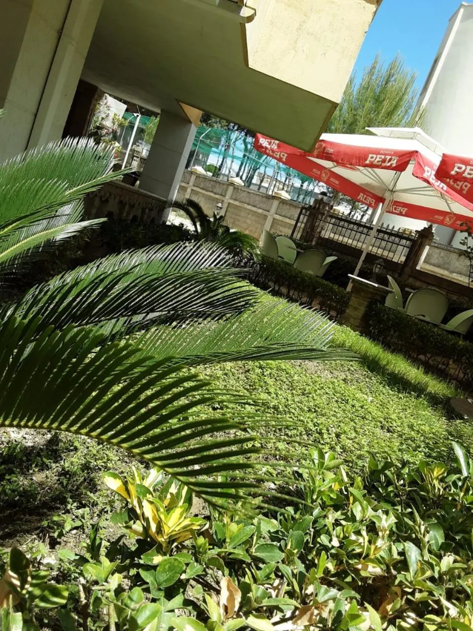 Garden in Hotel Sunrise