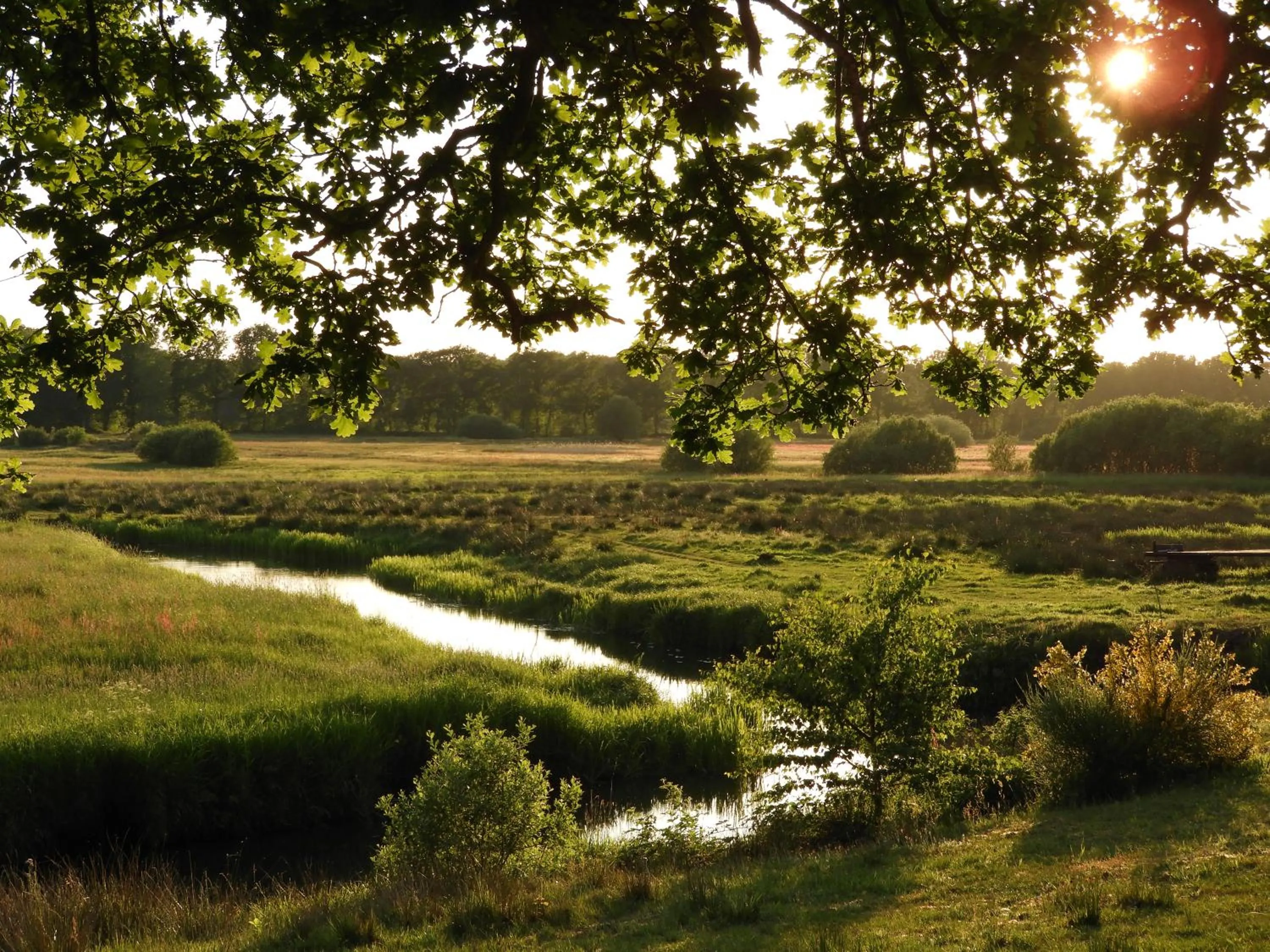 Natural landscape in Herberg De Eexter Os