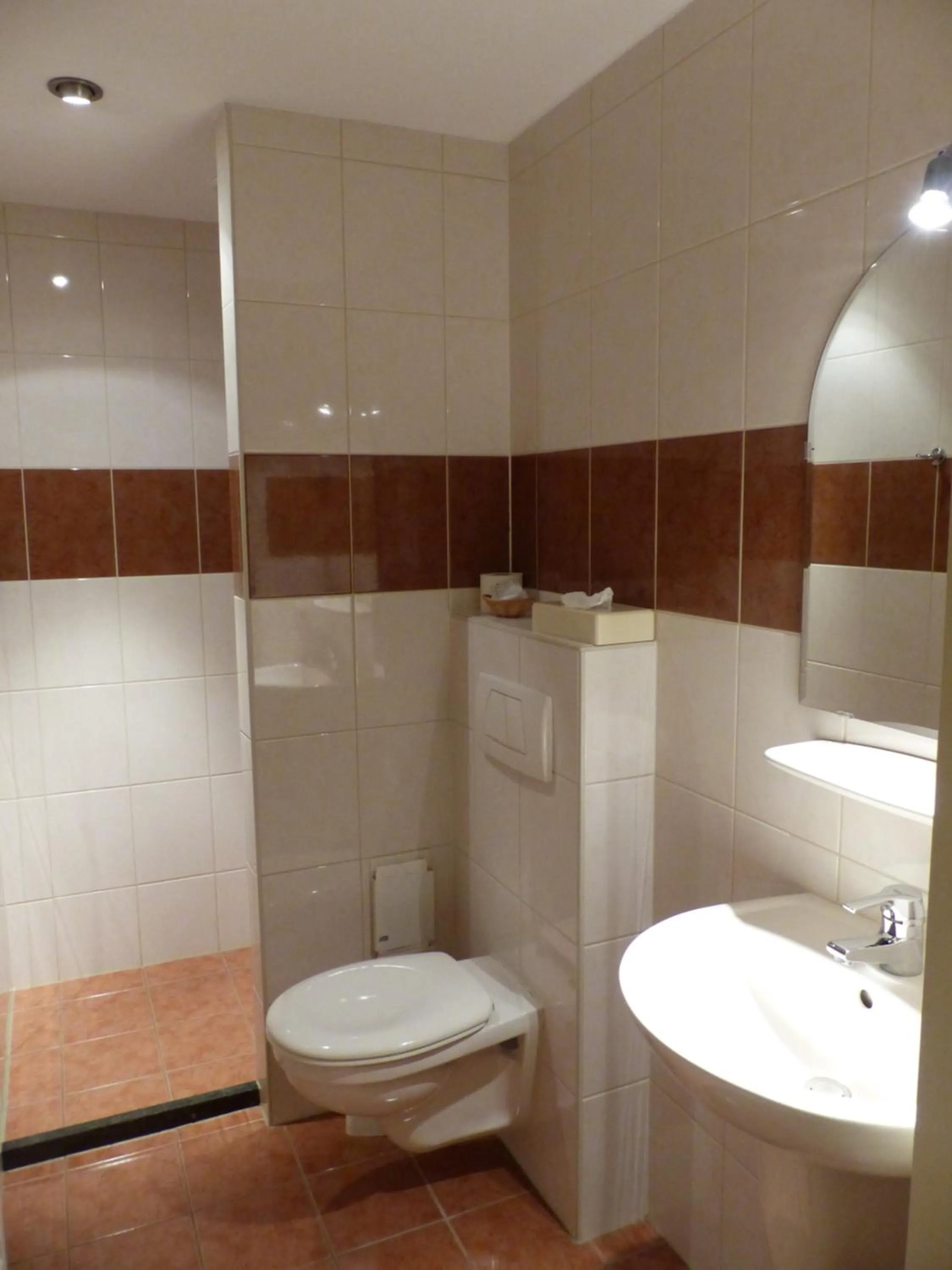 Toilet in Herberg De Eexter Os