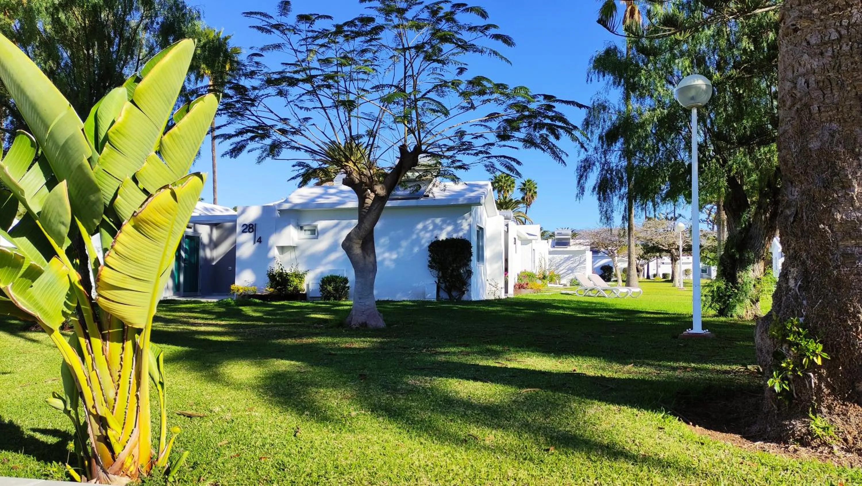 Property building in Canary Garden Club