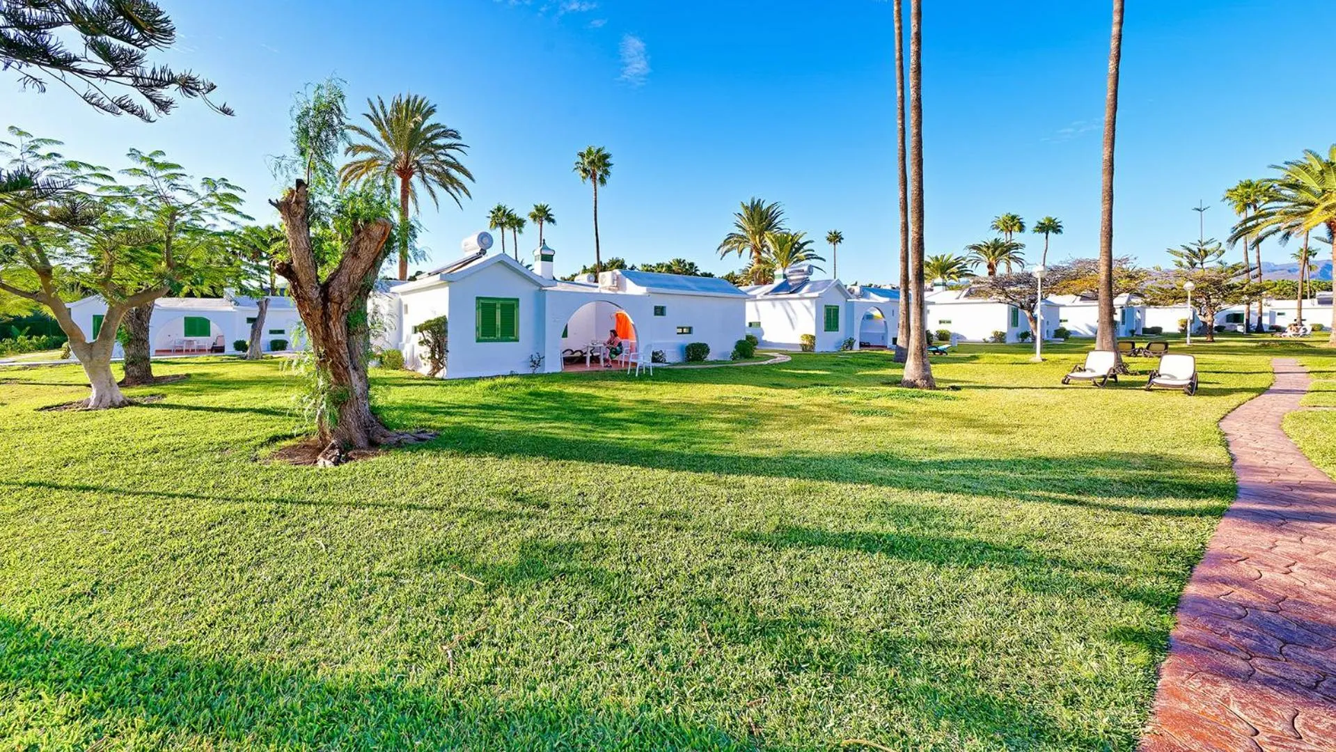 Garden in Canary Garden Club