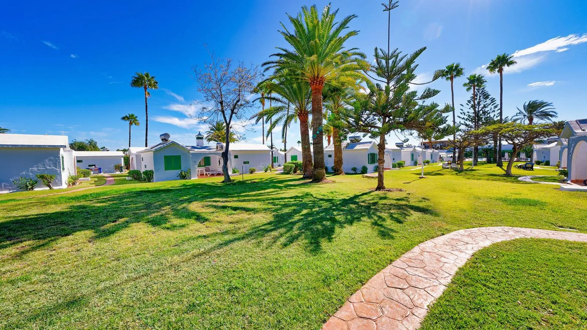 Garden in Canary Garden Club