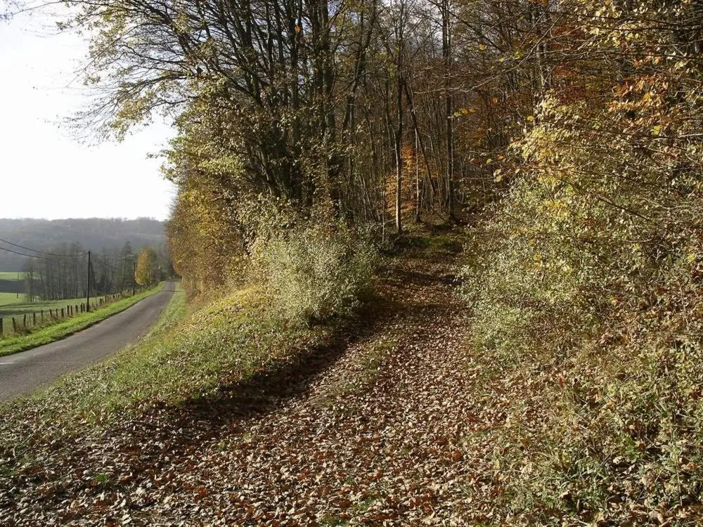 La maison du bûcheron