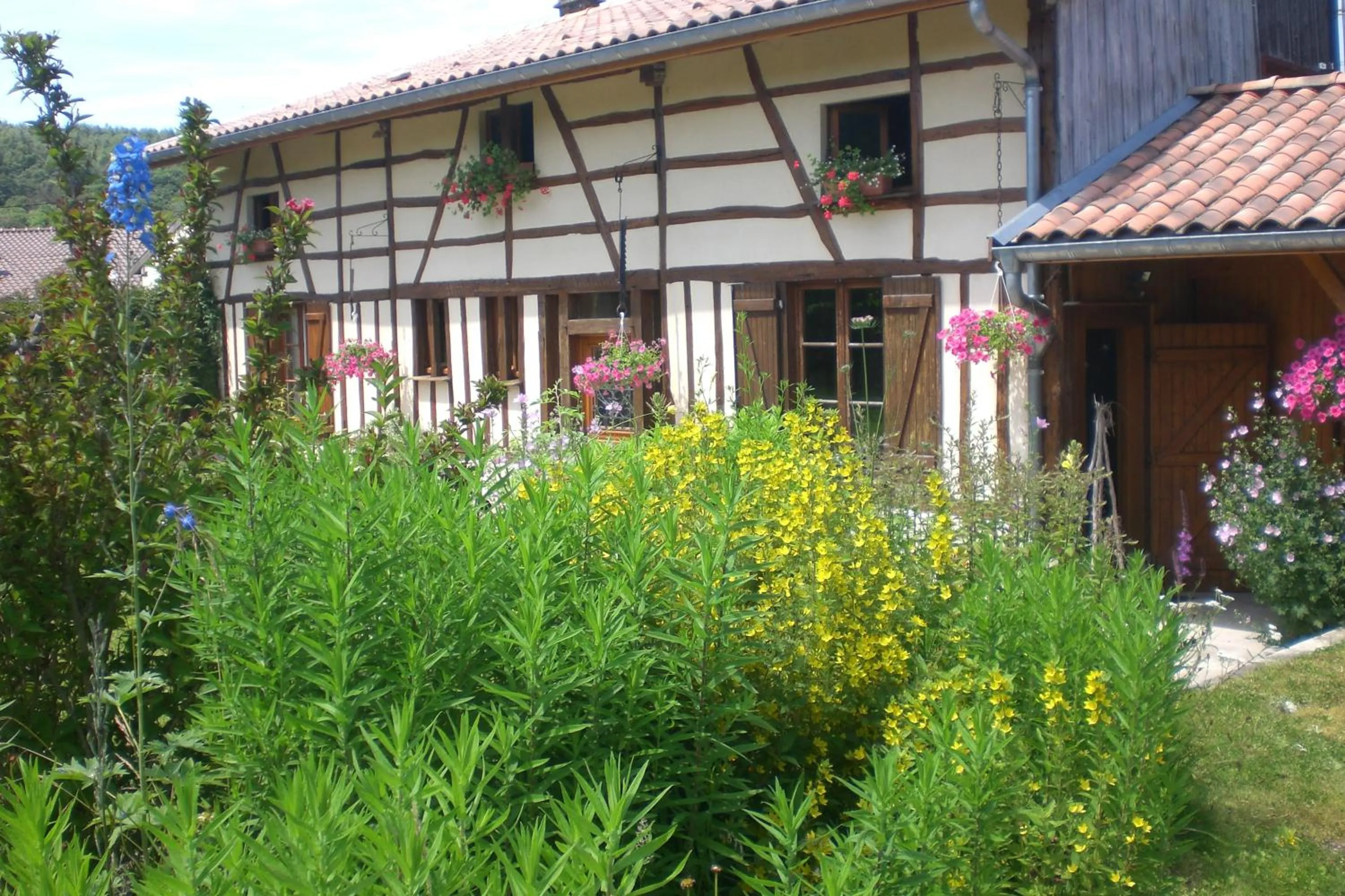 La maison du bûcheron