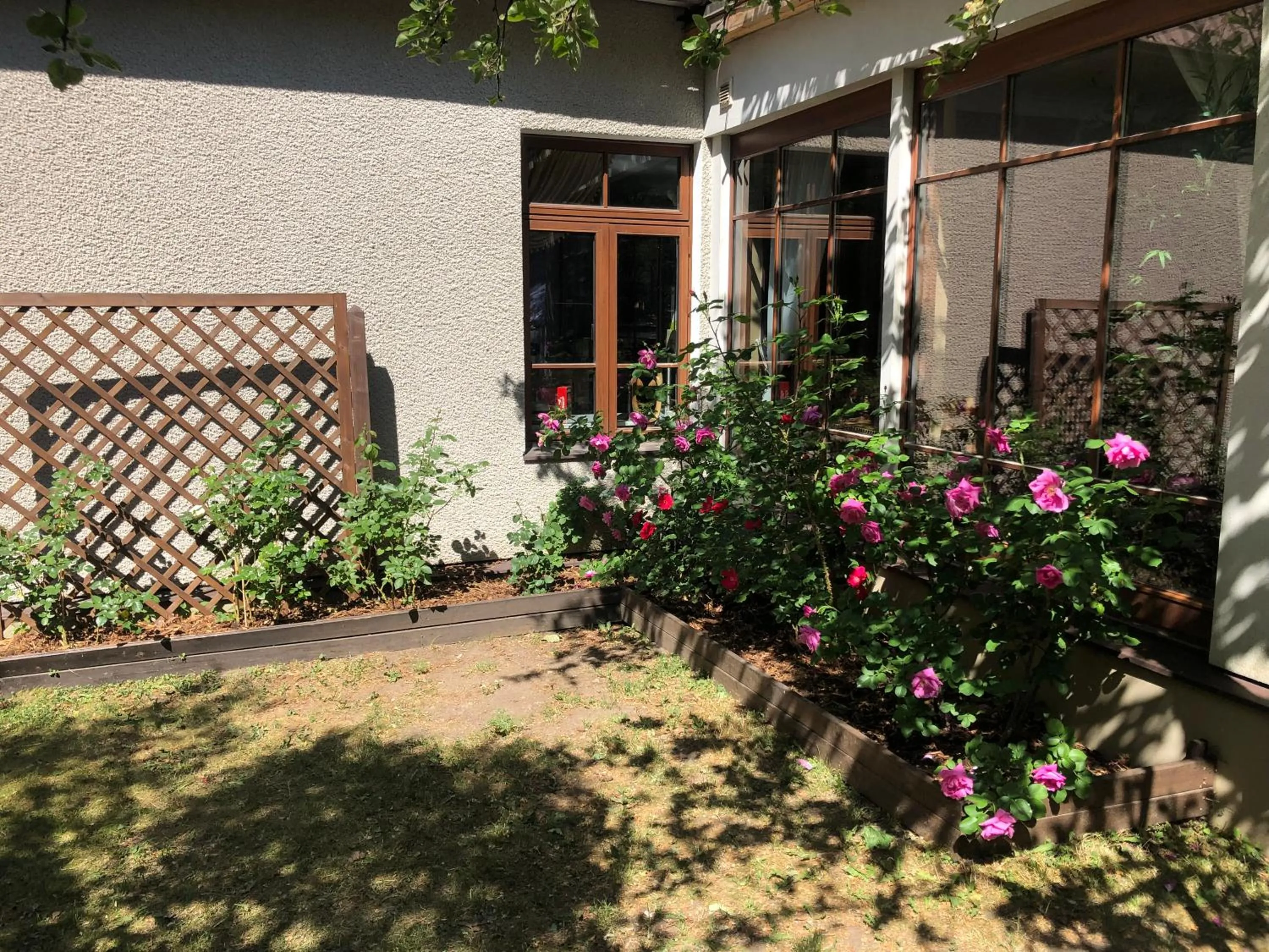 Garden view in Paivilla Boutique Hotel