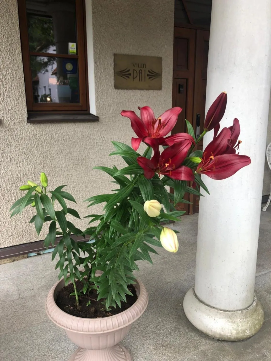 Facade/entrance in Paivilla Boutique Hotel