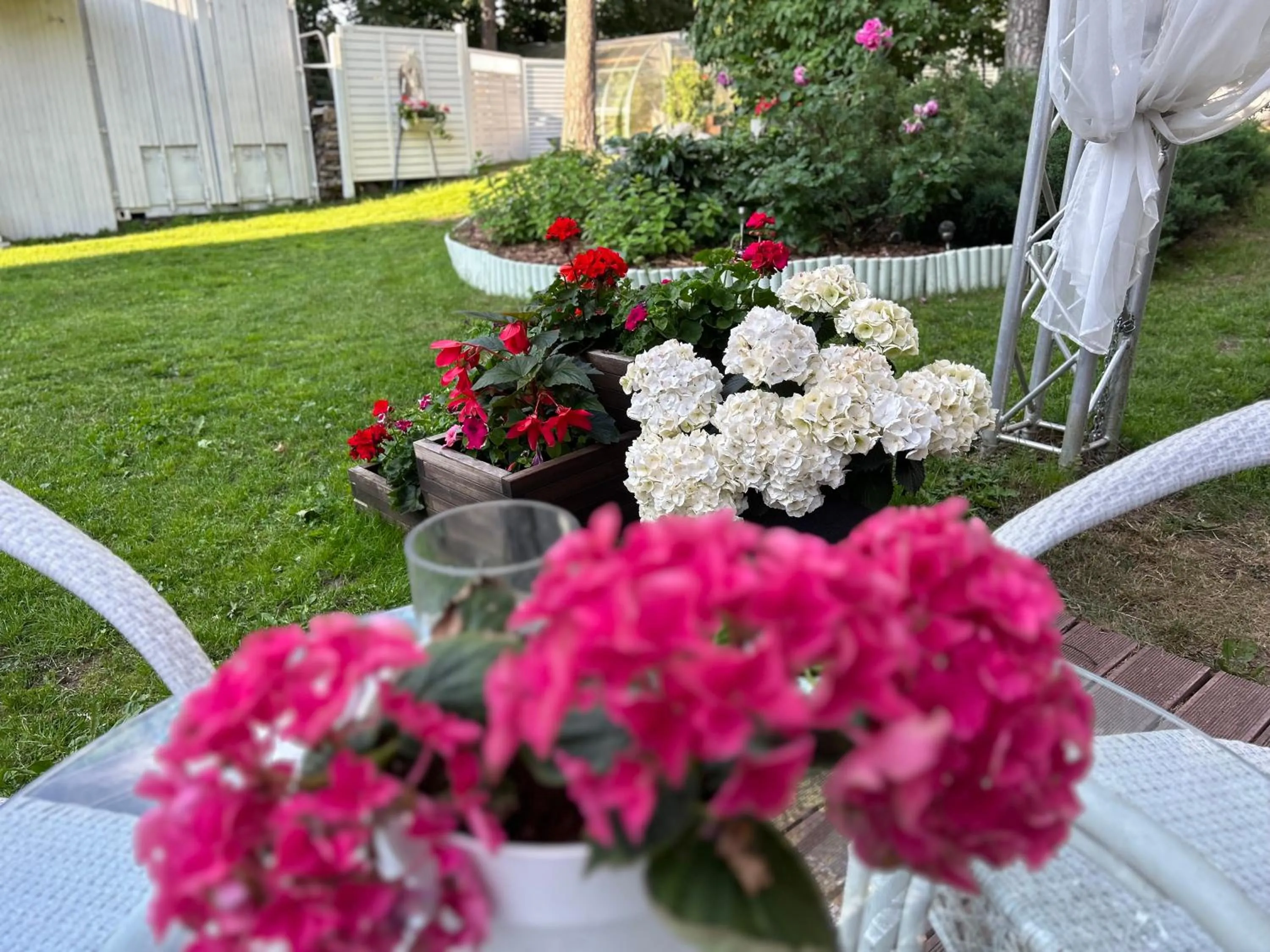 Garden view in Paivilla Boutique Hotel