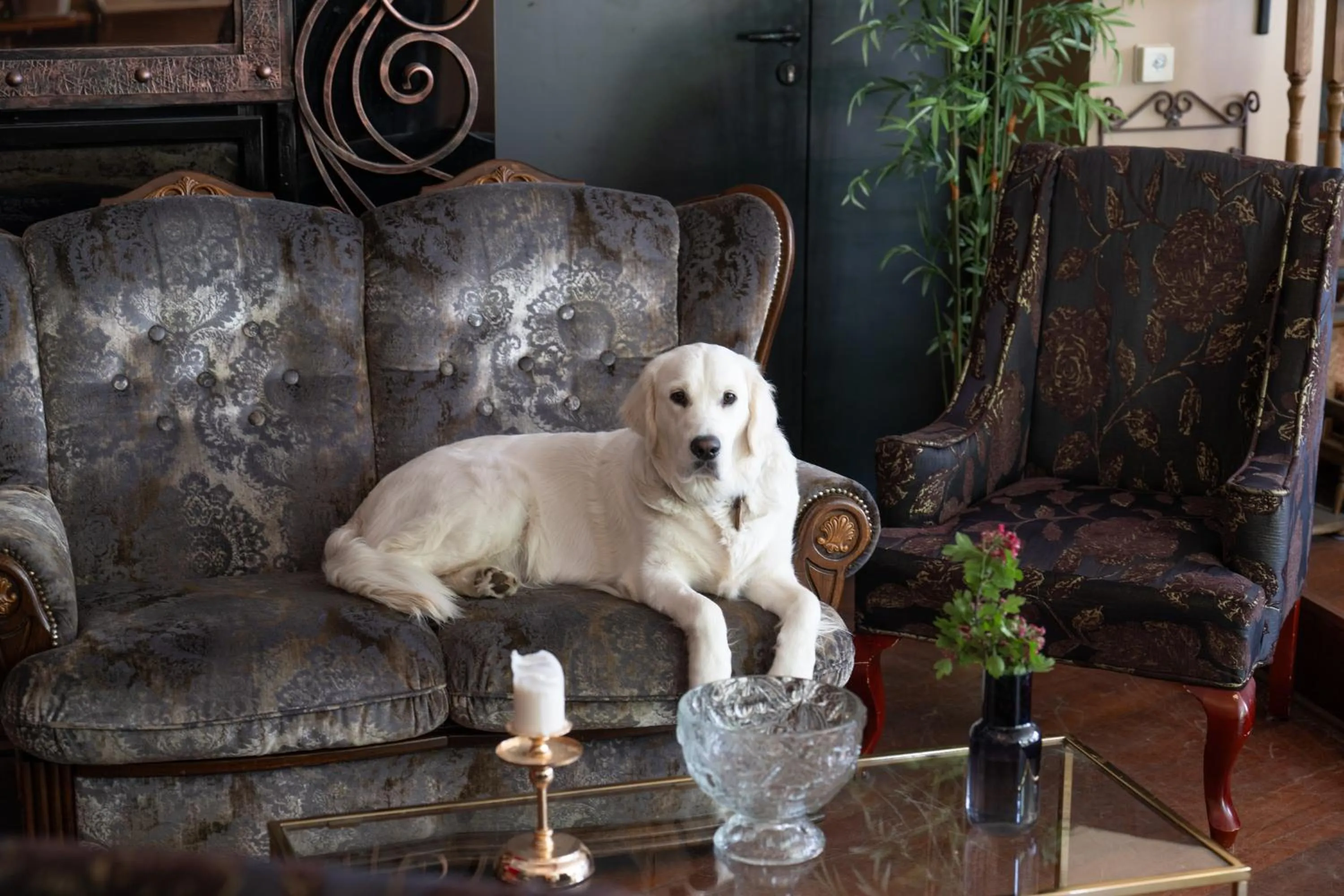 Paivilla Boutique Hotel