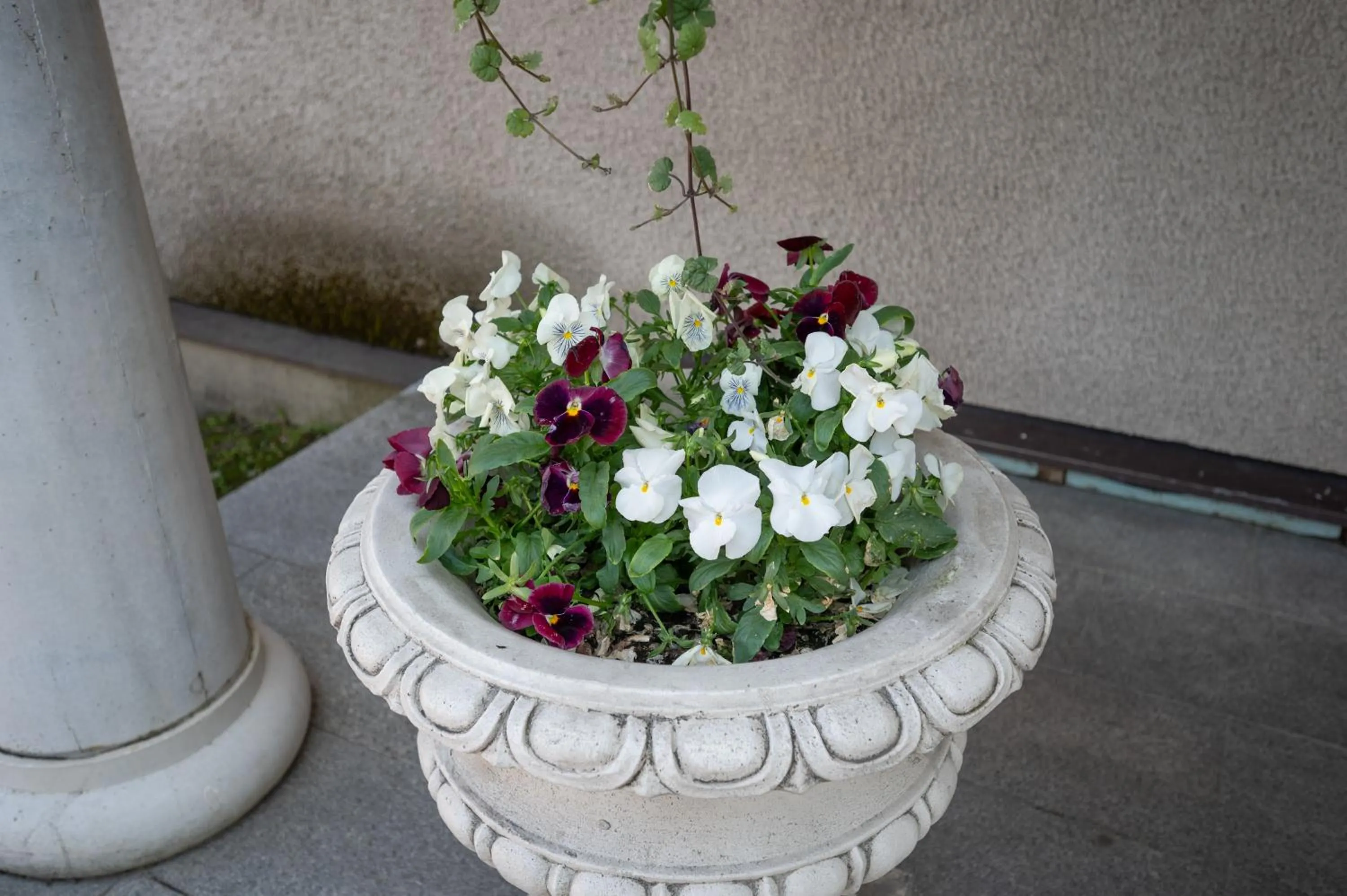 Paivilla Boutique Hotel