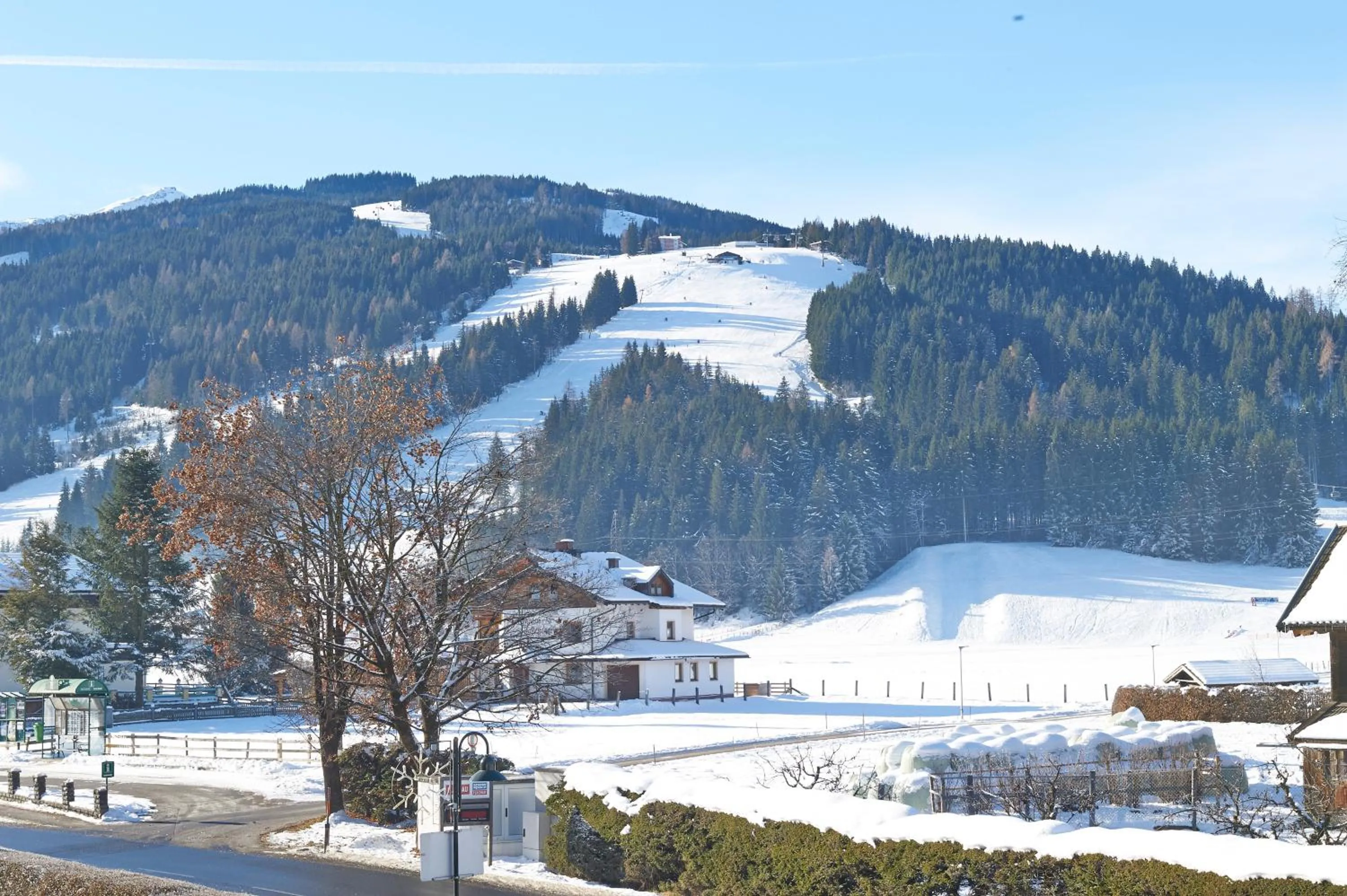 Area and facilities in Alpine Active Weitgasser