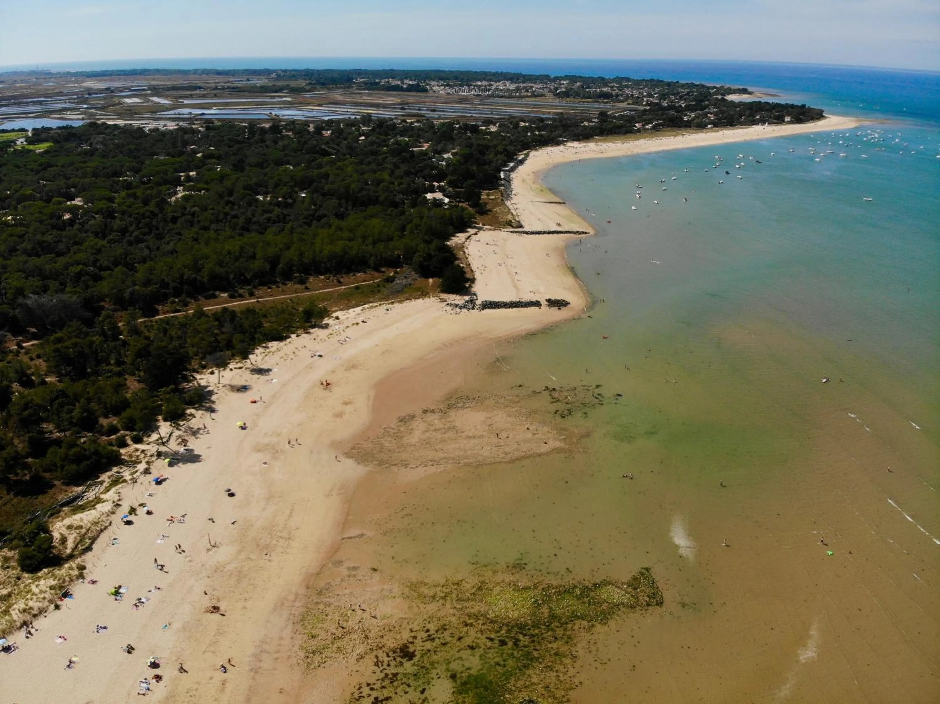 Bird's eye view in Le Chat Botté