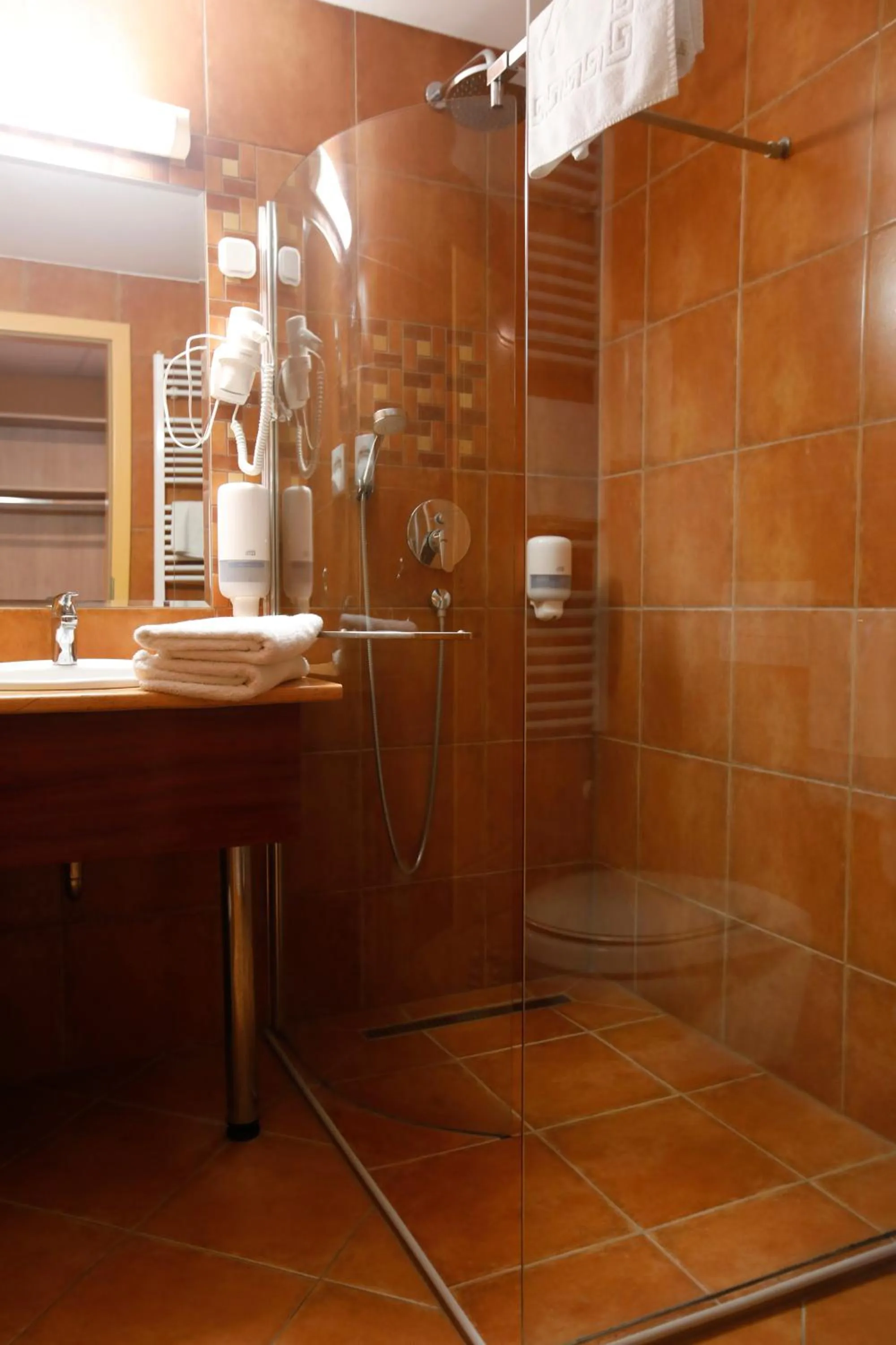 Shower in Wellness Hotel Laroba