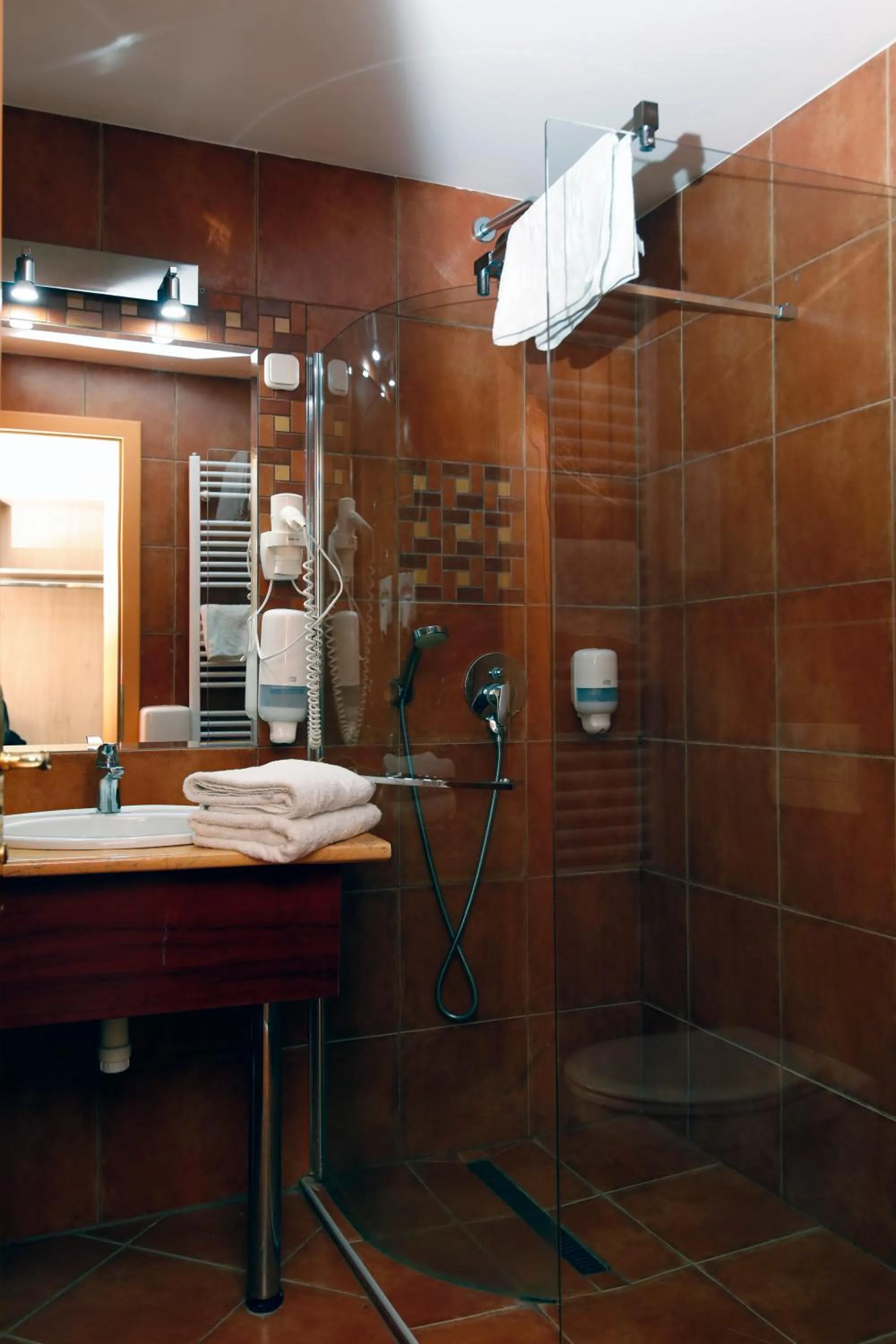 Bathroom in Wellness Hotel Laroba