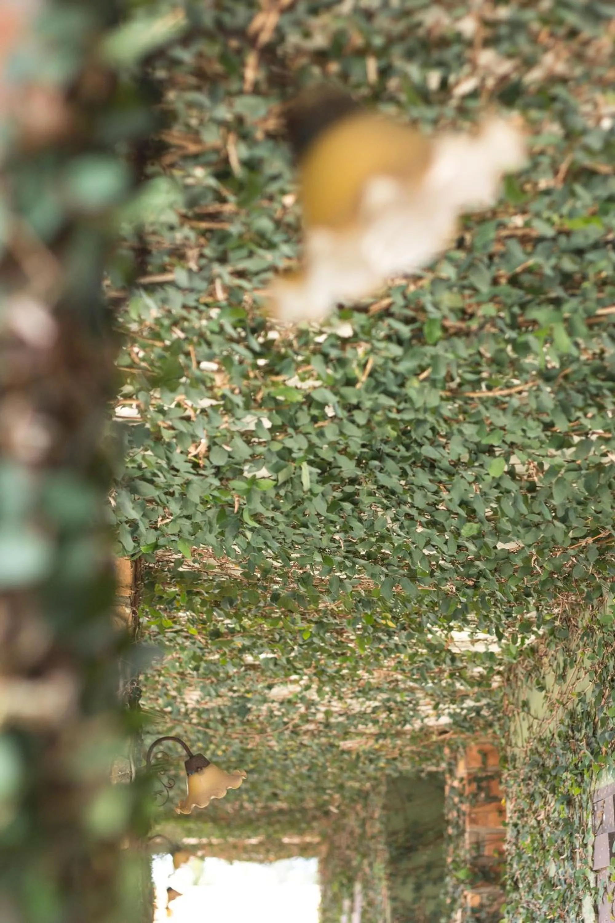 On site in Khaolak Tony Lodge