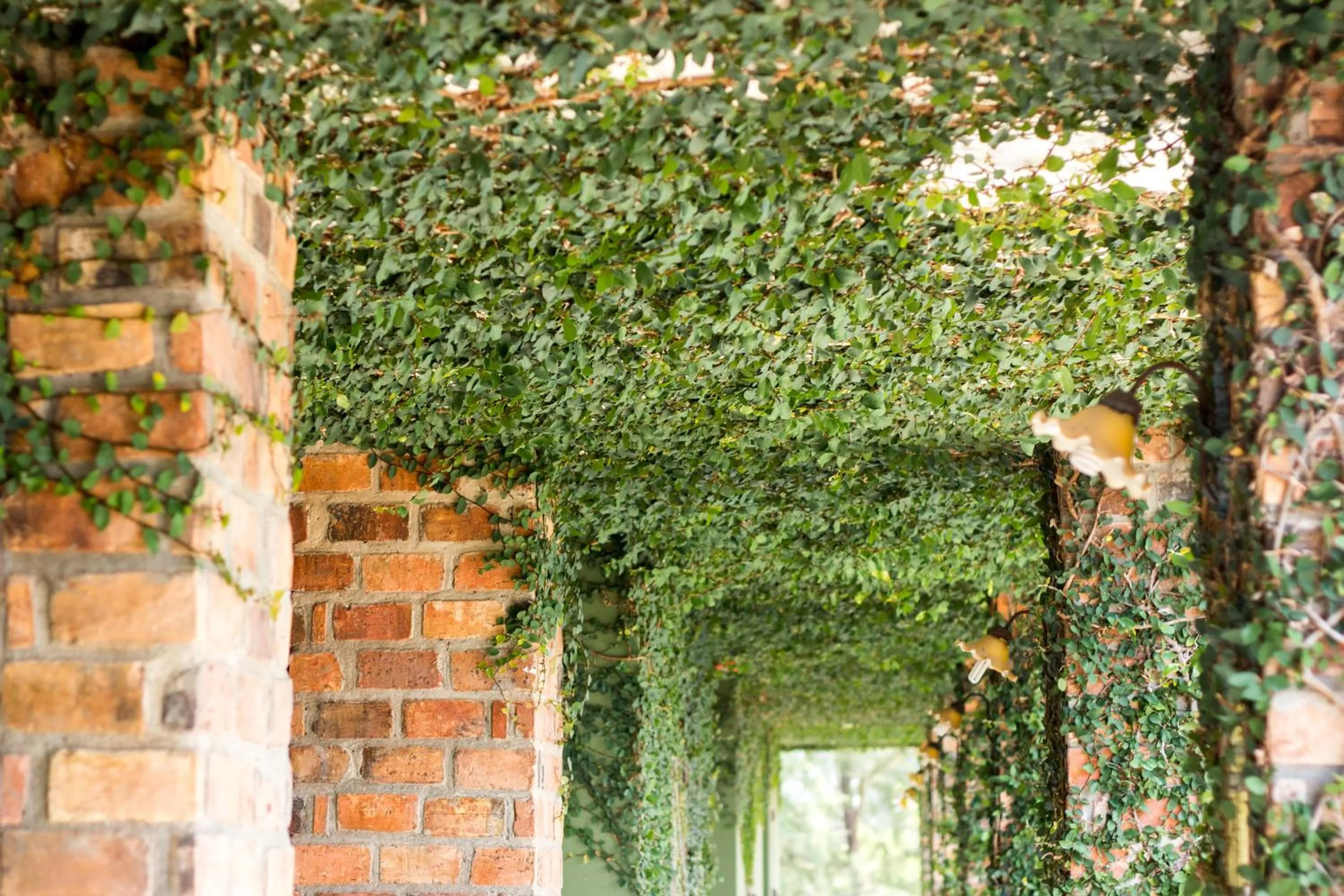 On site in Khaolak Tony Lodge