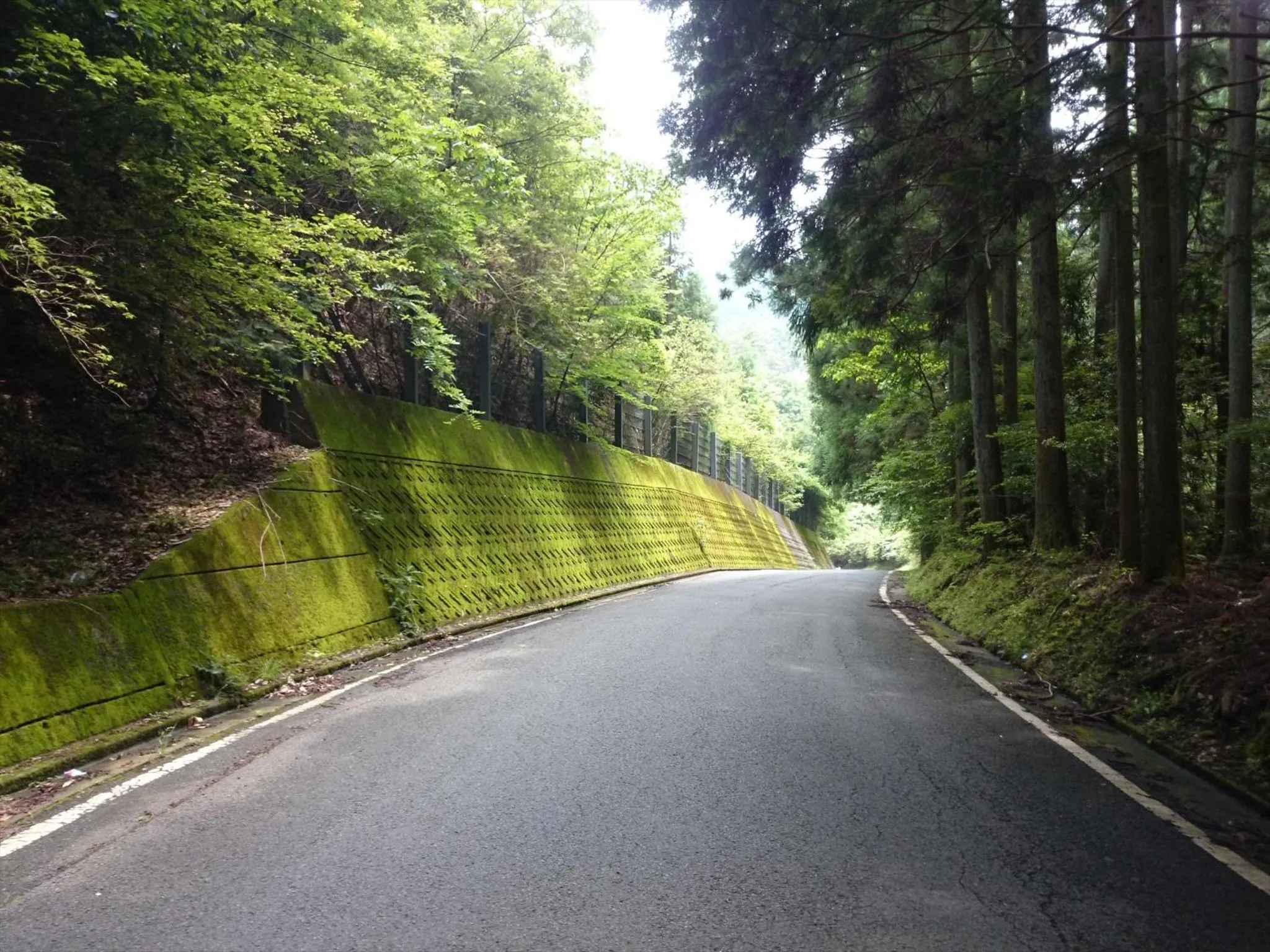 Spring in Yadori Onsen Iyashinoyu