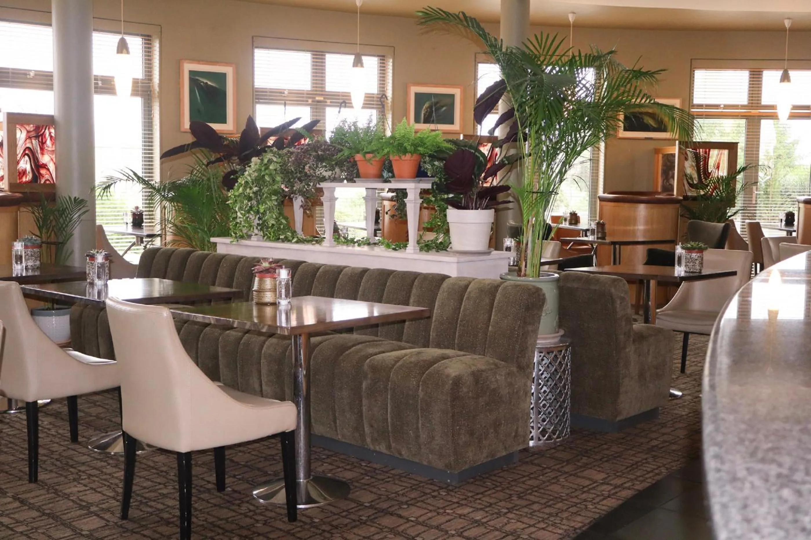 Property building in Ballyroe Lodge