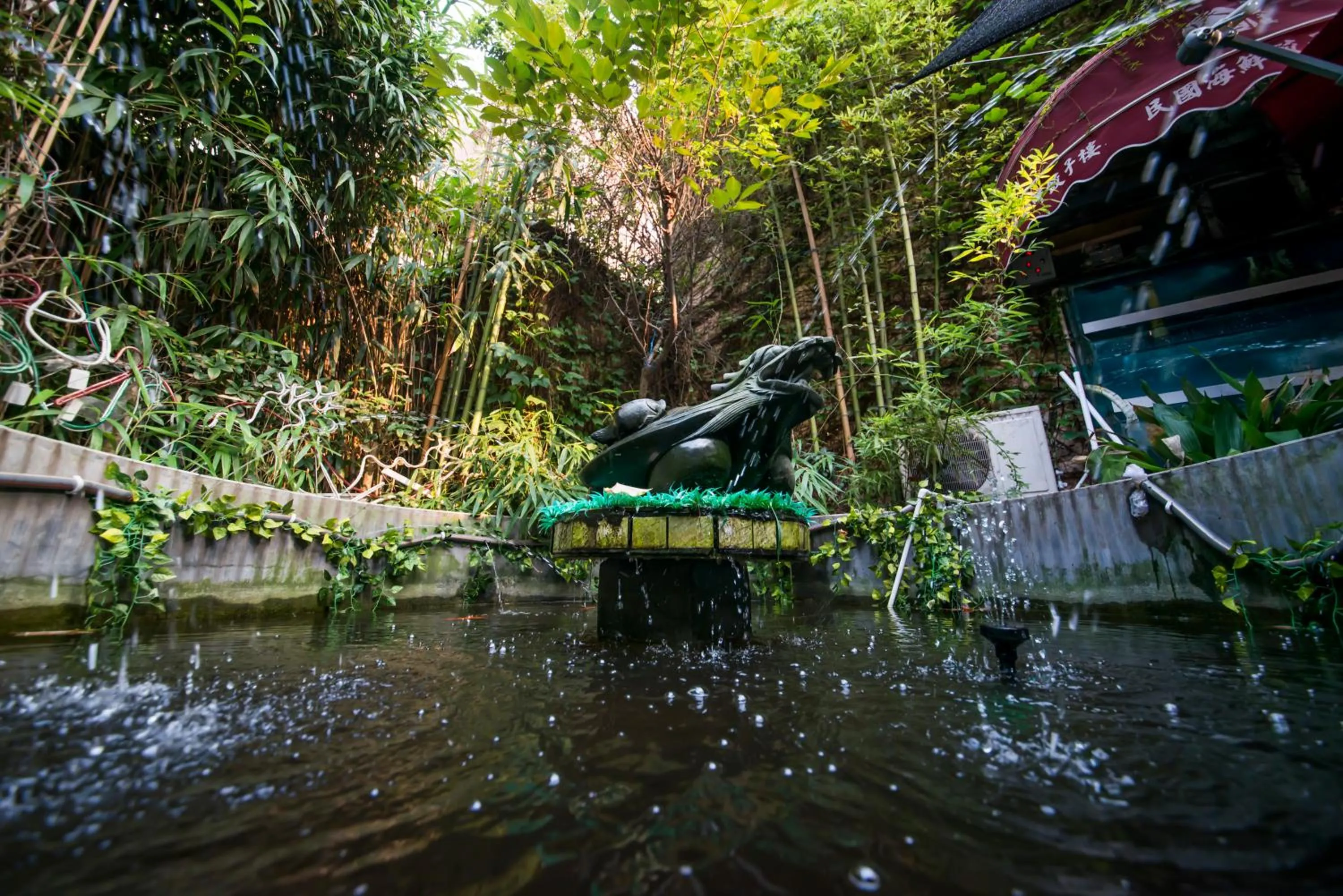 Garden view in Qingdao MG Hotel l Walking distance to the beach & railway station & St Michaels Cathedral