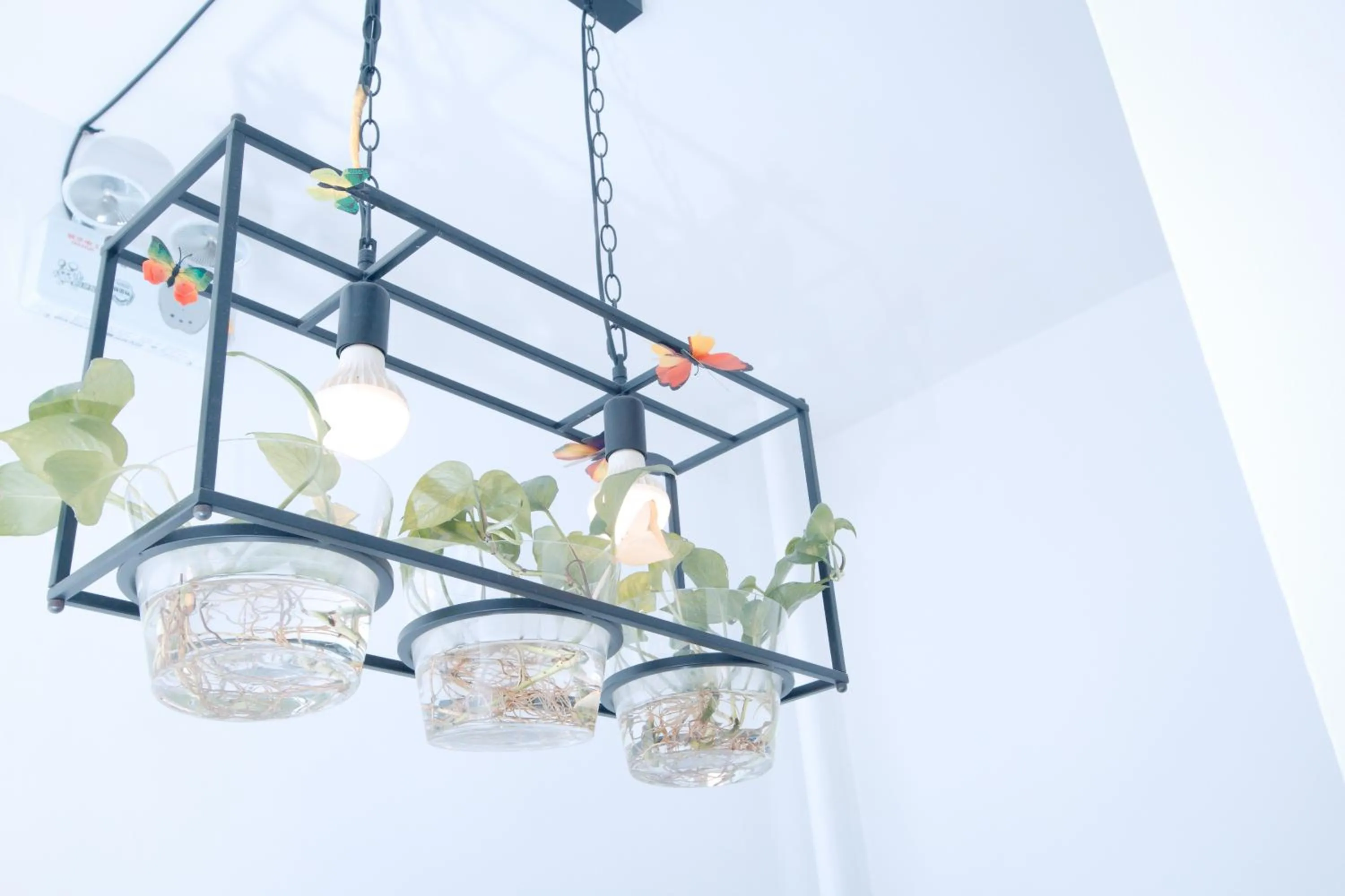 Decorative detail in Qingdao MG Hotel l Walking distance to the beach & railway station & St Michaels Cathedral