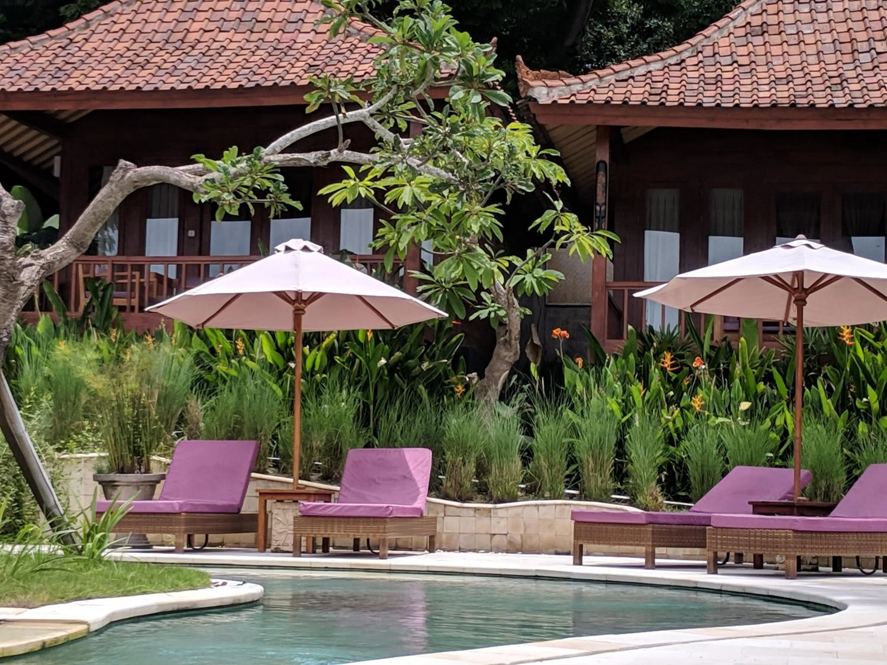 Pool view in Paradesa Living