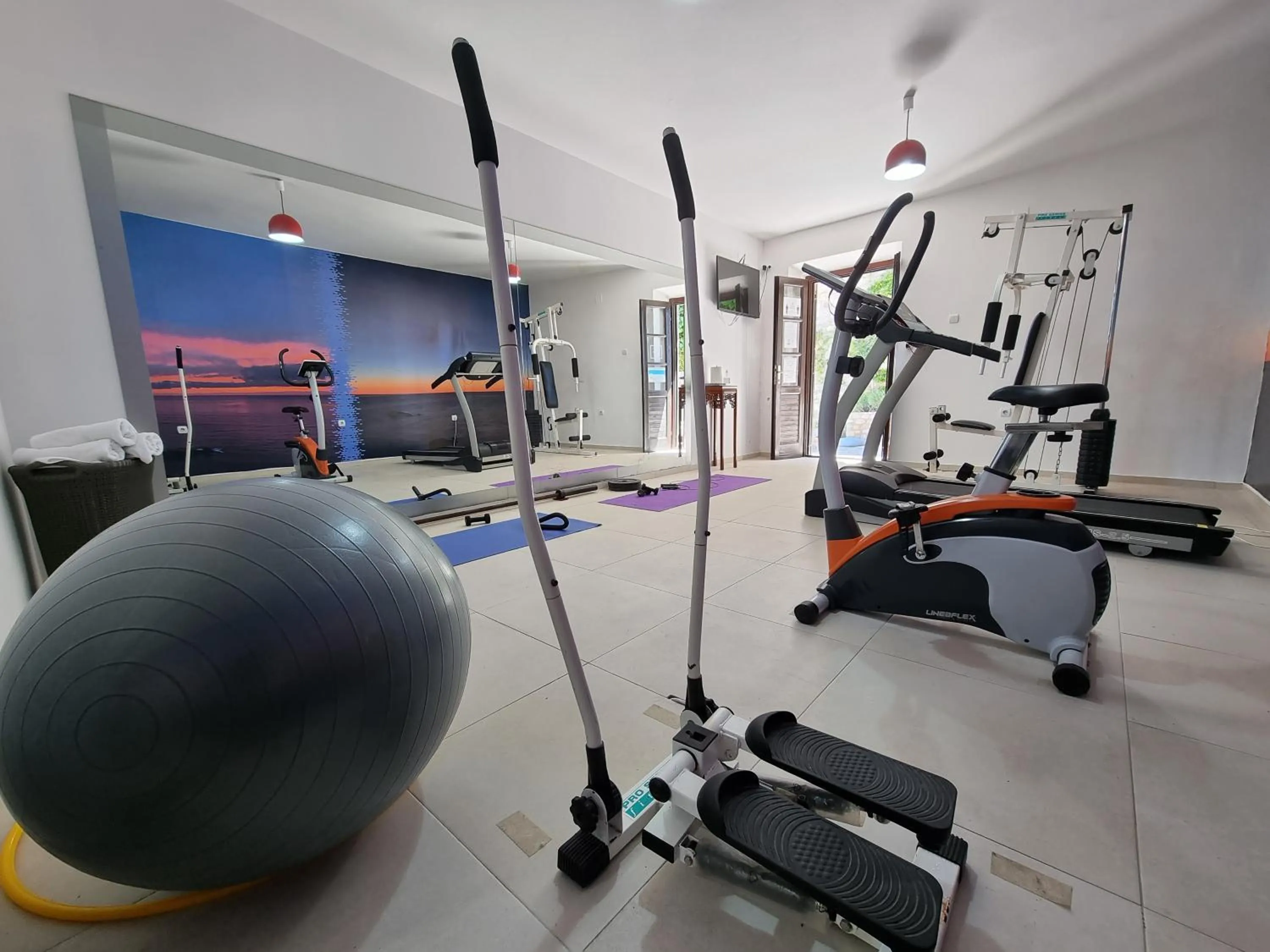 Fitness centre/facilities in Hotel Palata Venezia
