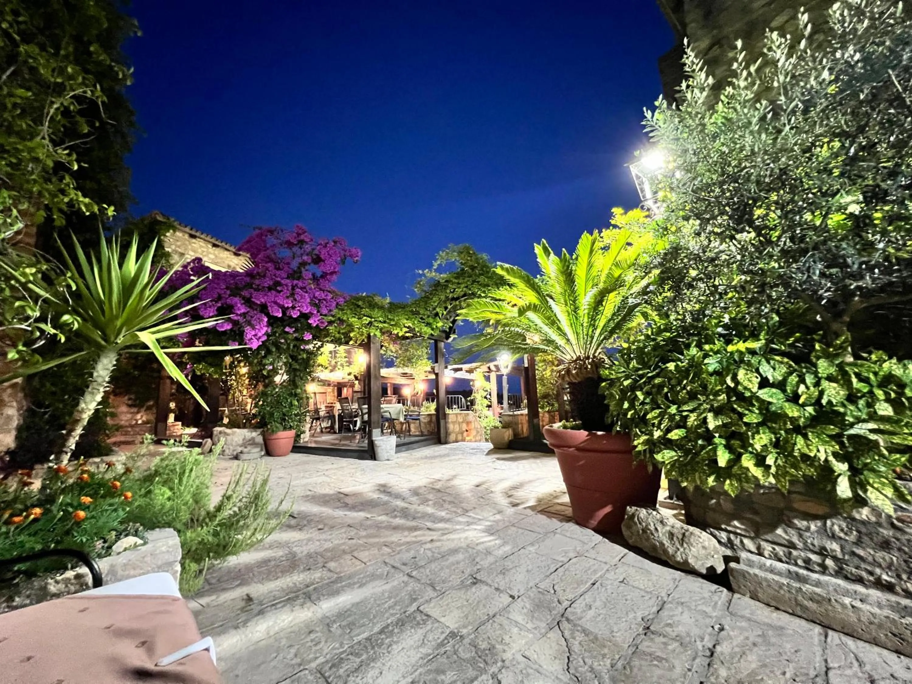 Garden view in Hotel Palata Venezia