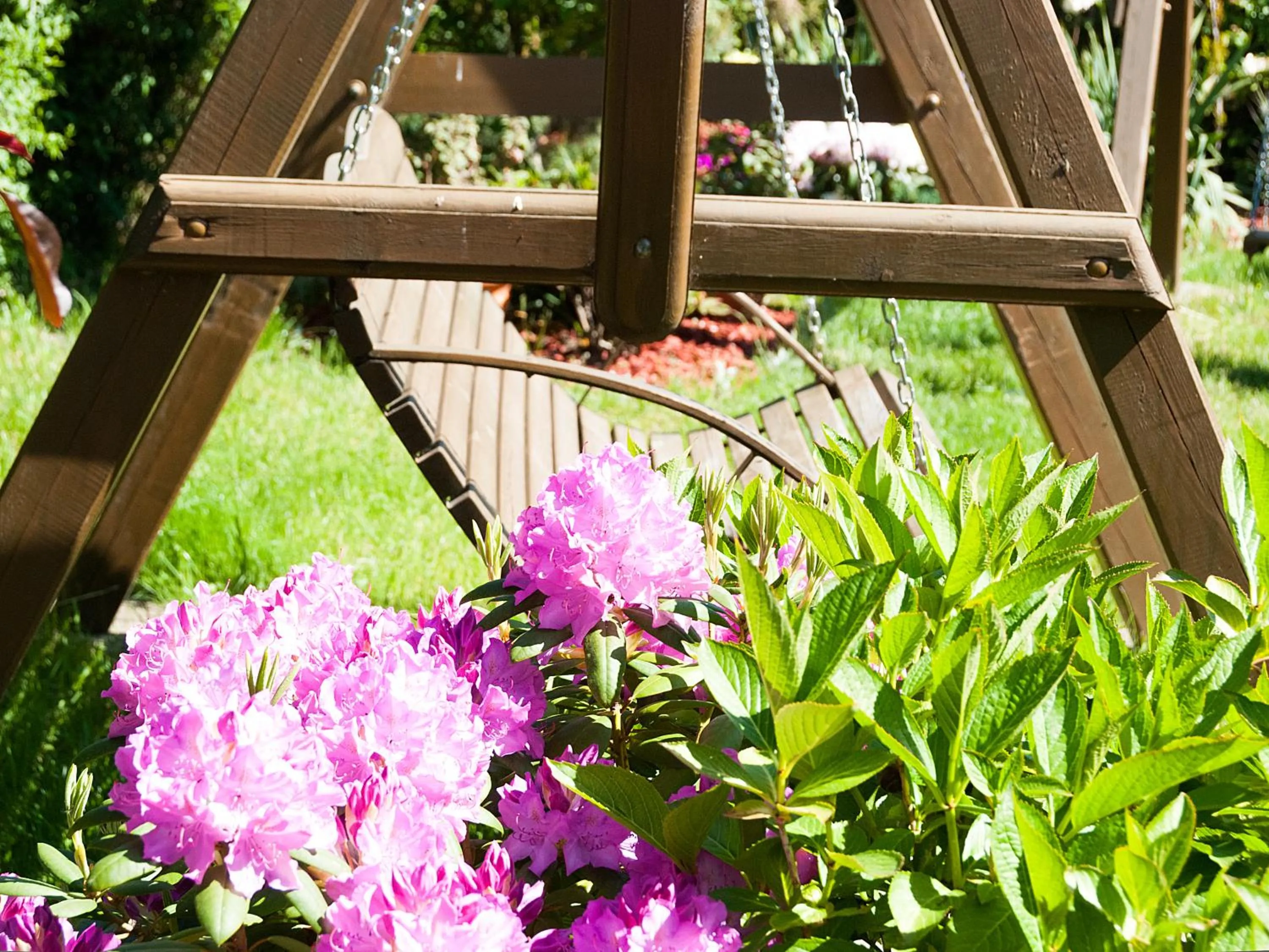 Garden in Słoneczny Dwór