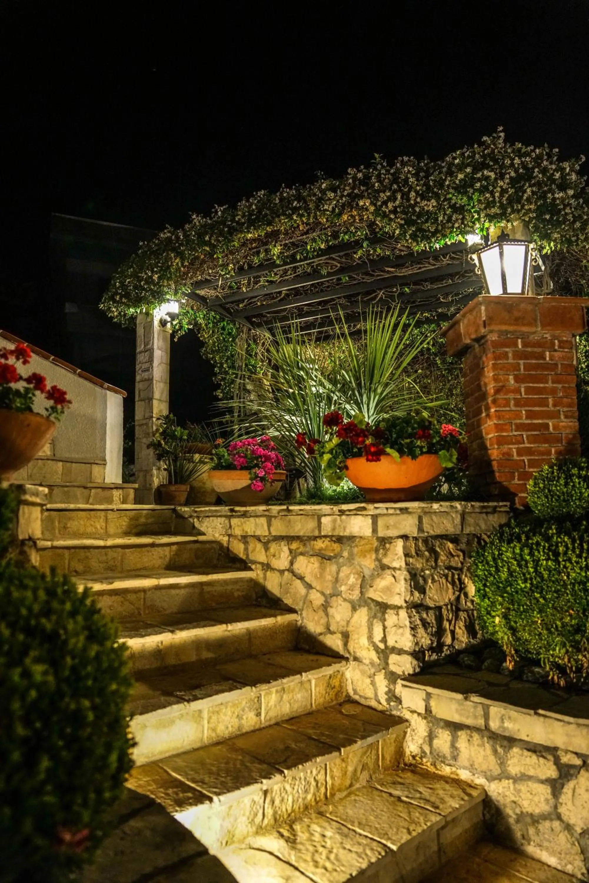 Garden in Apartments Bazar