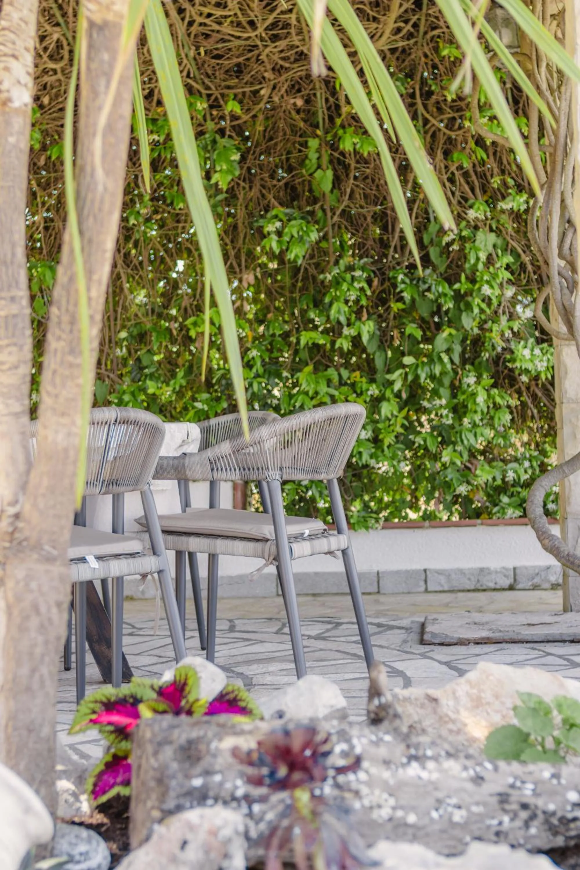 Garden view in Apartments Bazar