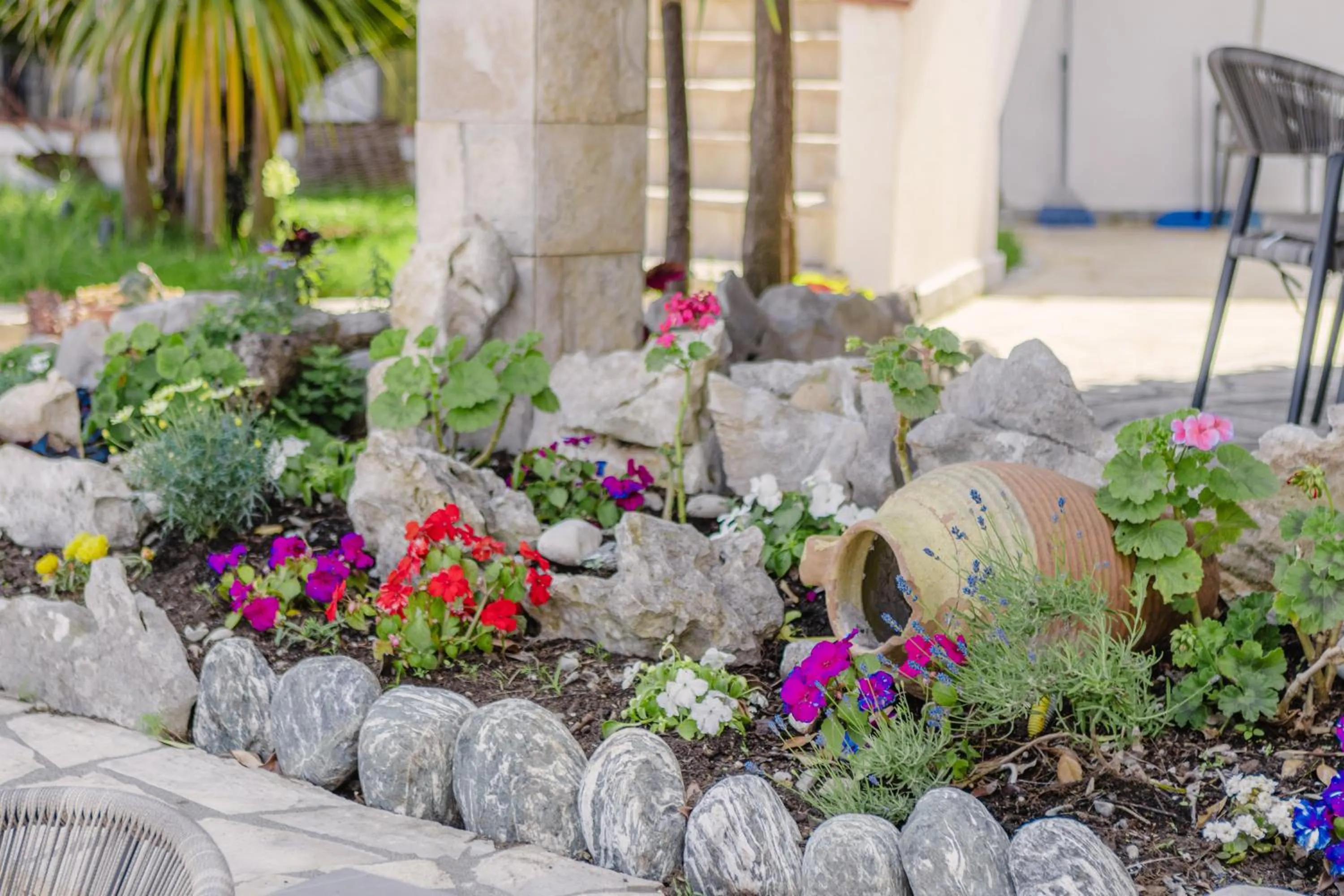 Garden in Apartments Bazar