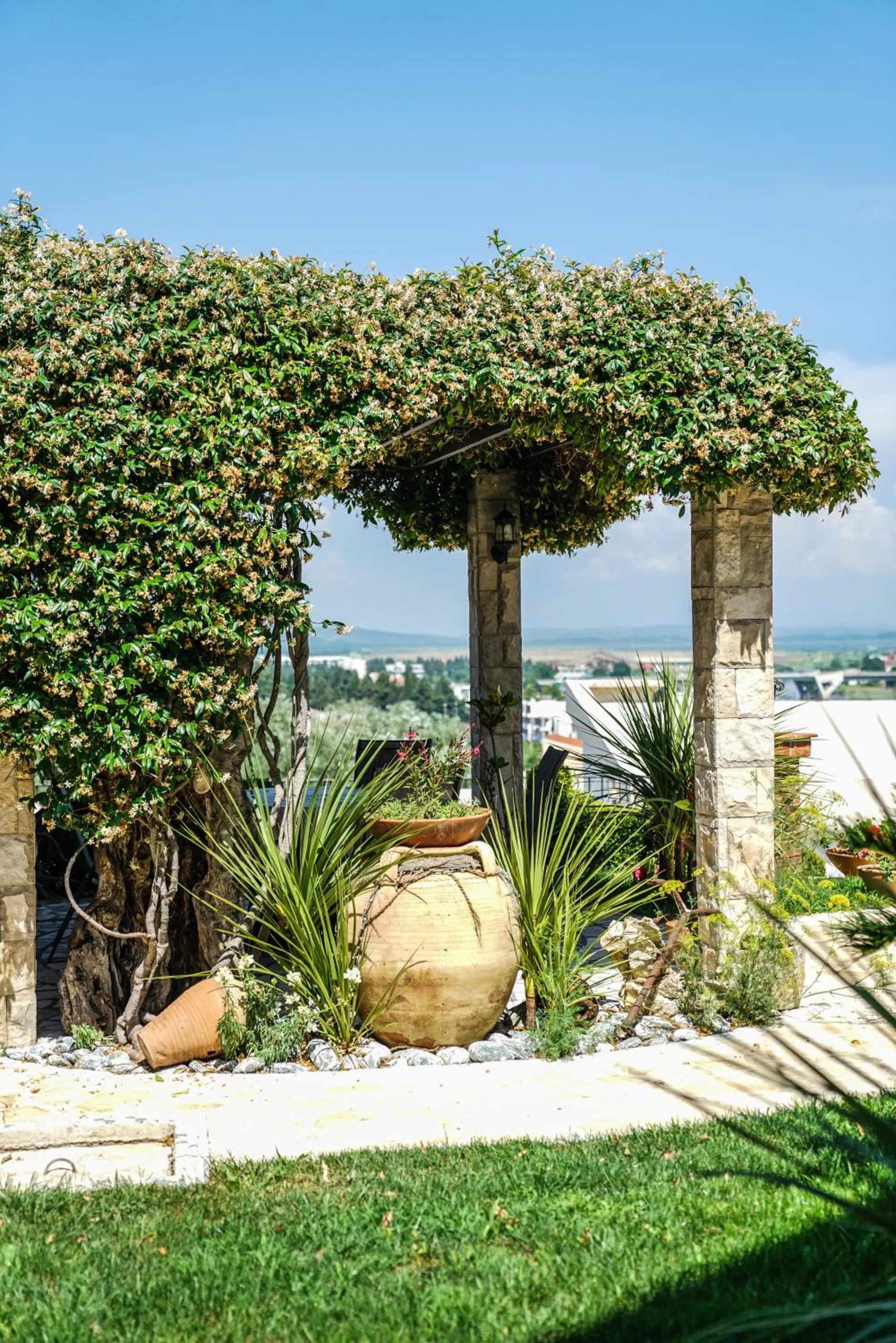 Garden in Apartments Bazar