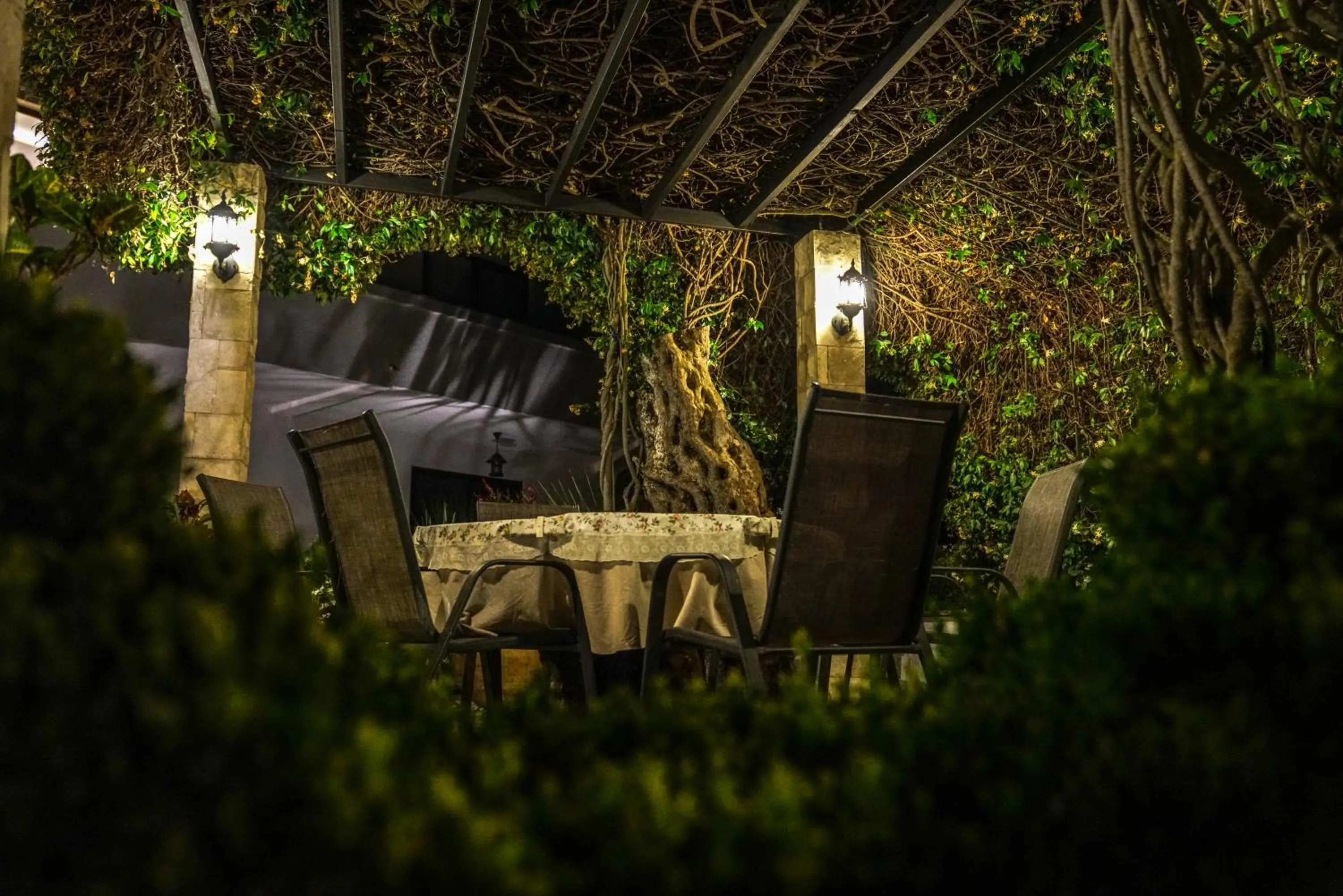 Garden in Apartments Bazar