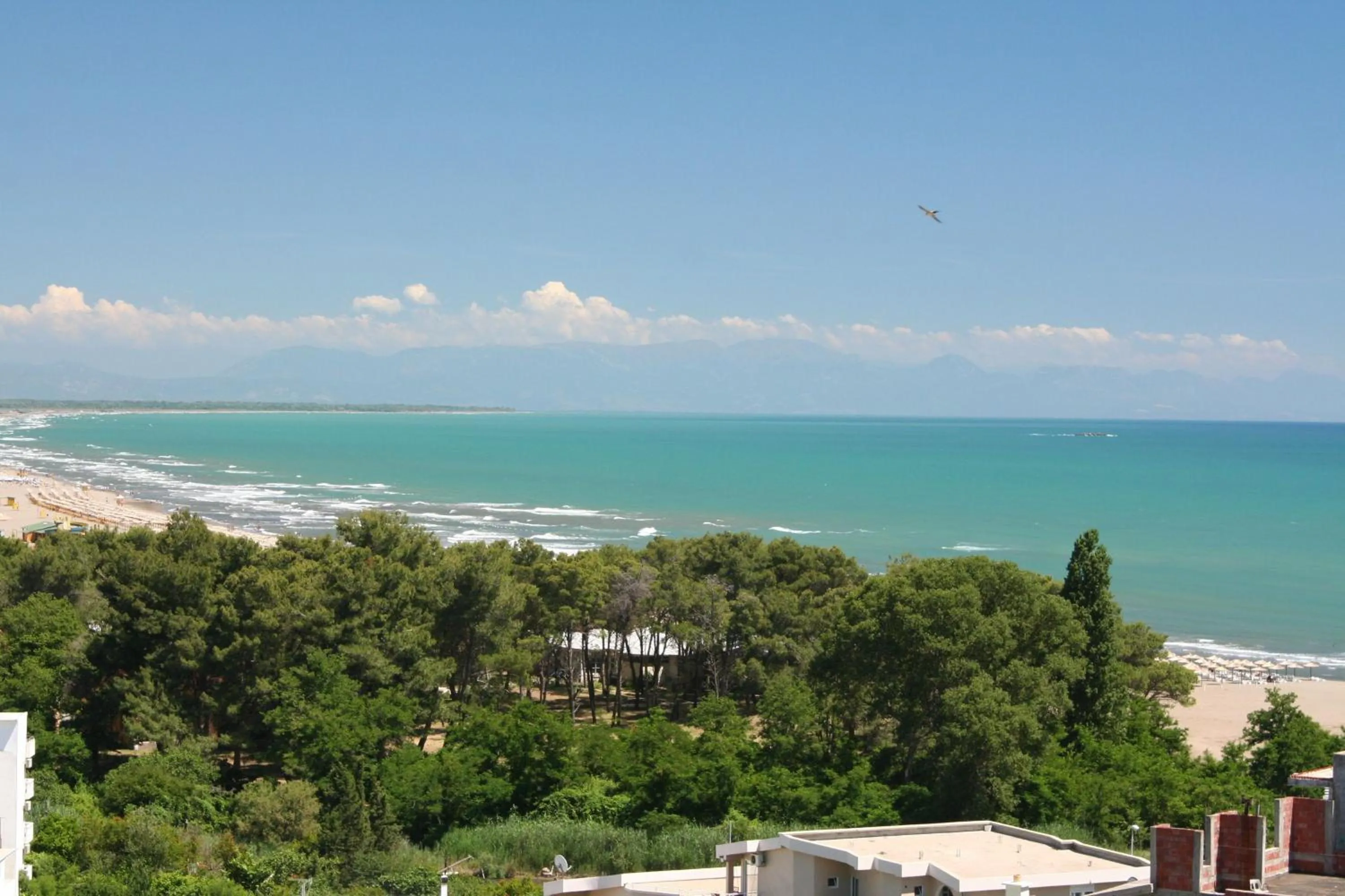 Area and facilities in Apartments Bazar