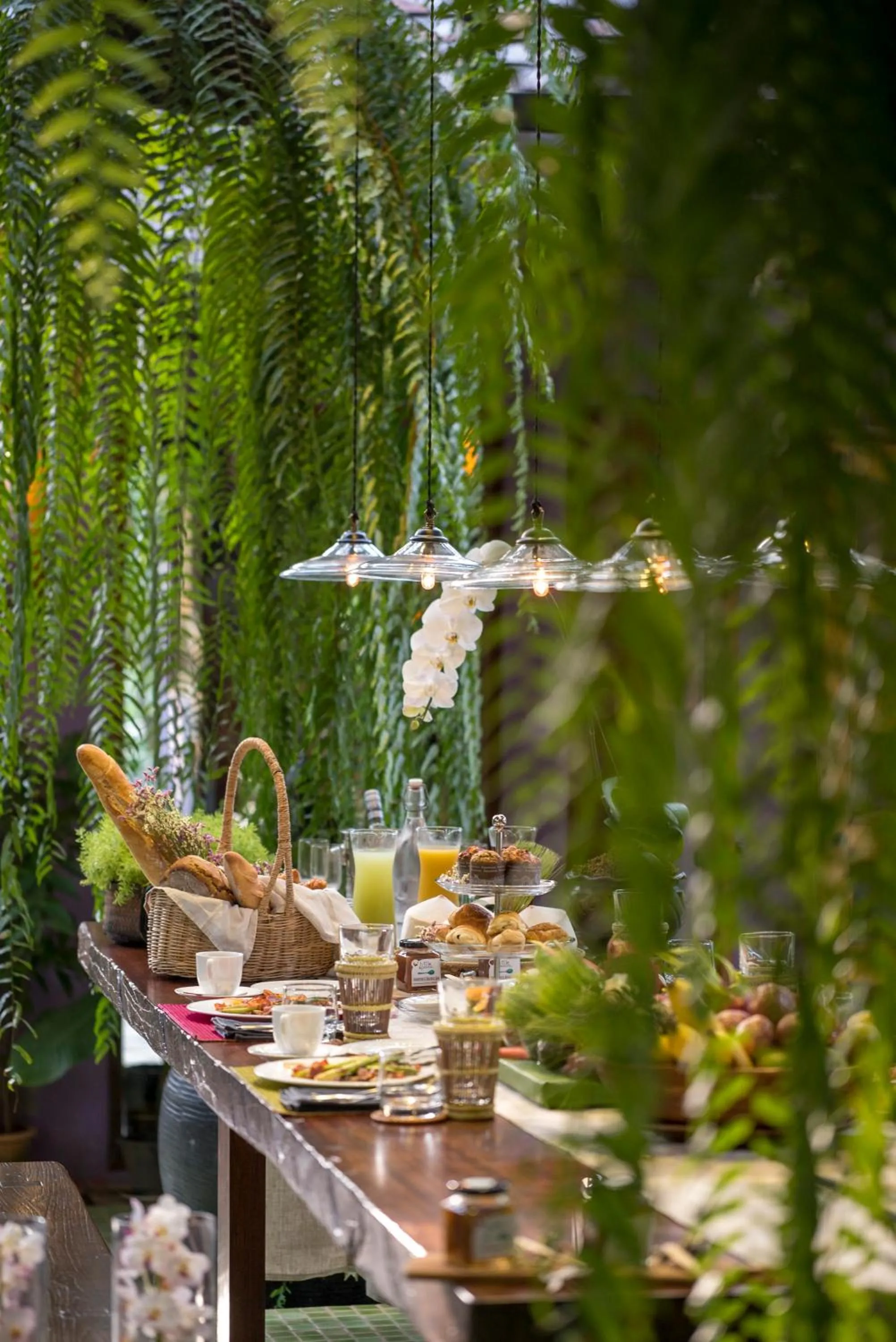 Spring in Chandra Residence