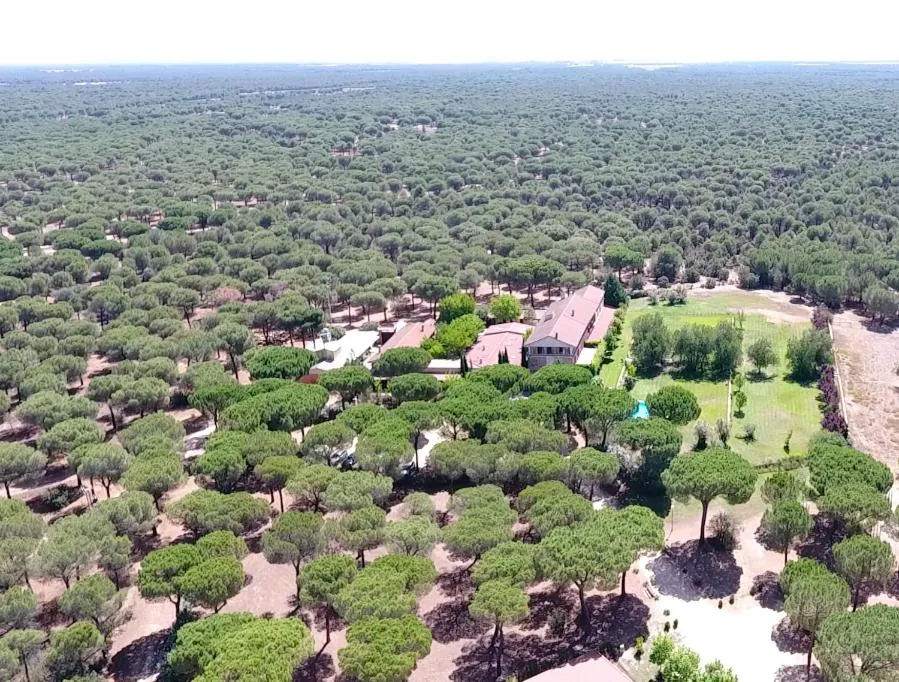 Bird's eye view in La Posada Real del Pinar