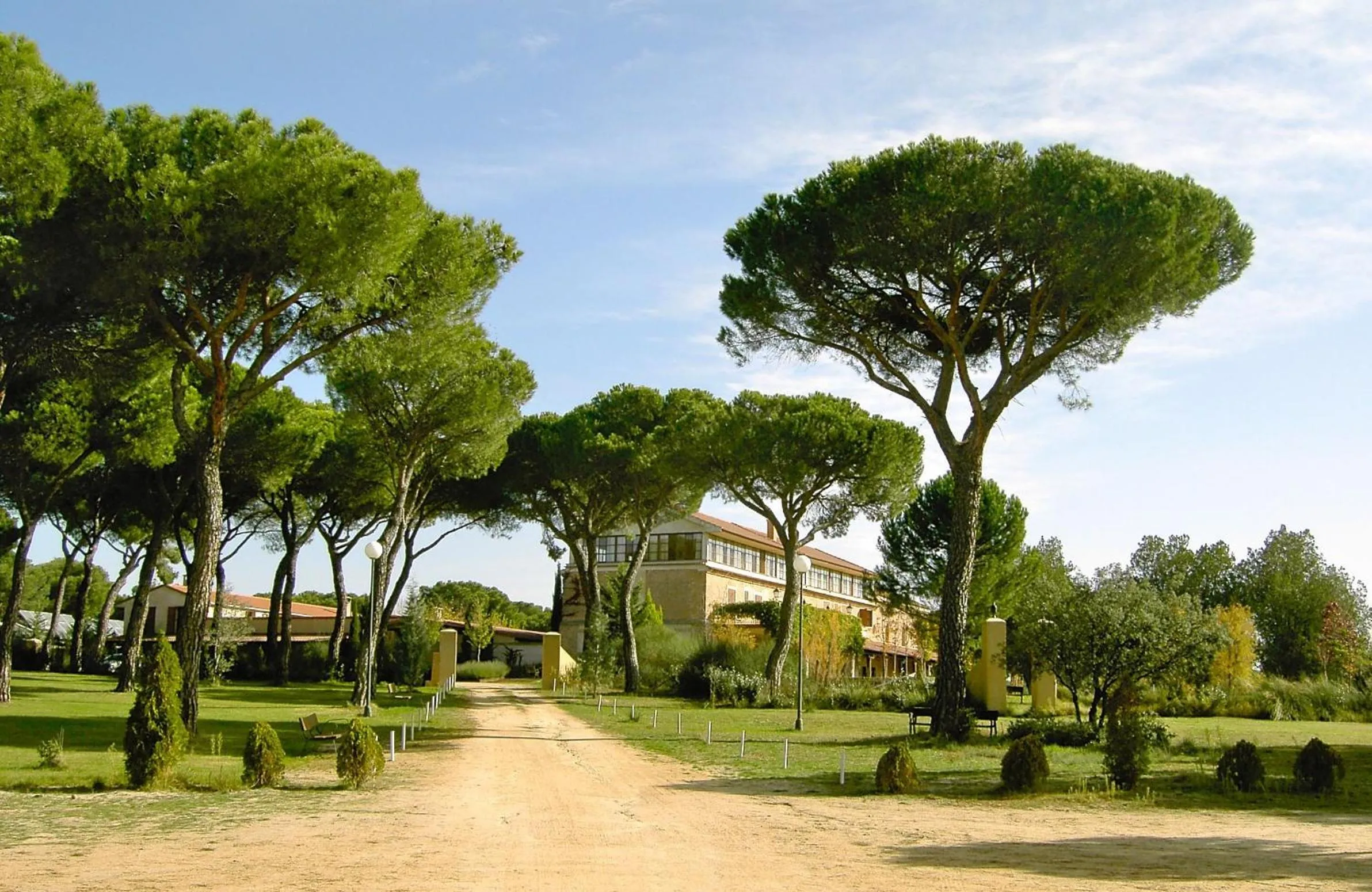Natural landscape in La Posada Real del Pinar