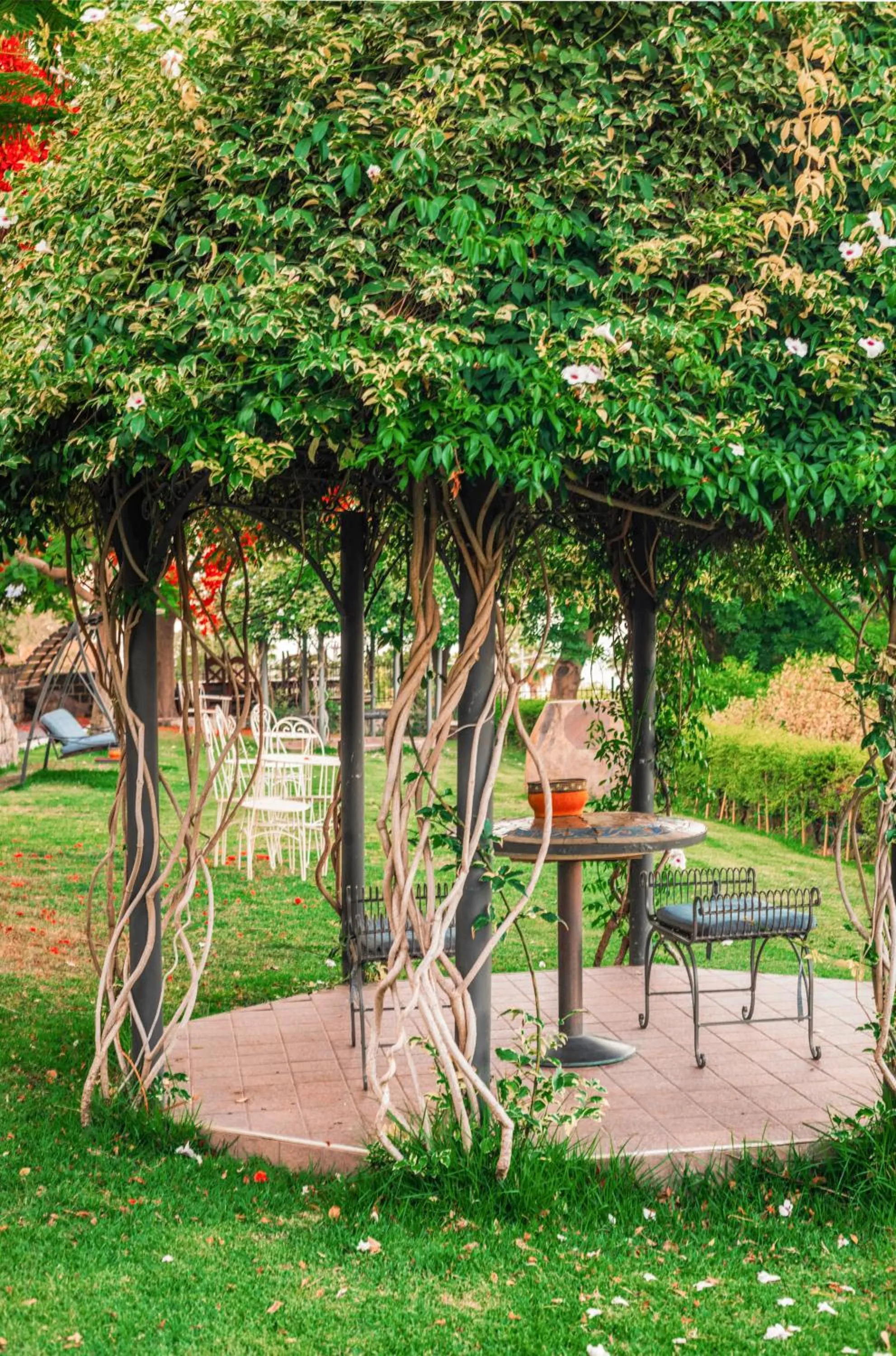 Garden in The Scots Hotel