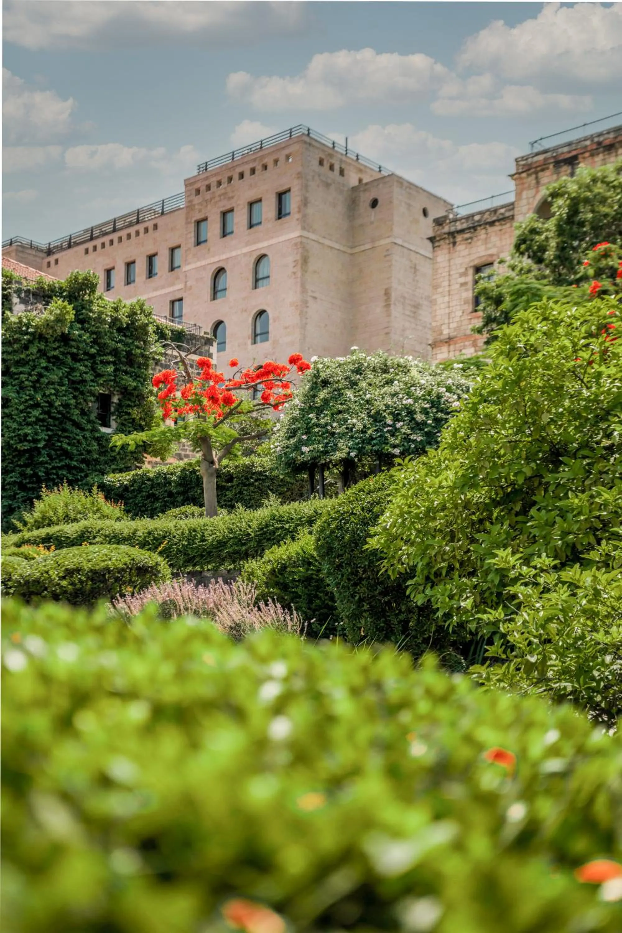 Garden in The Scots Hotel